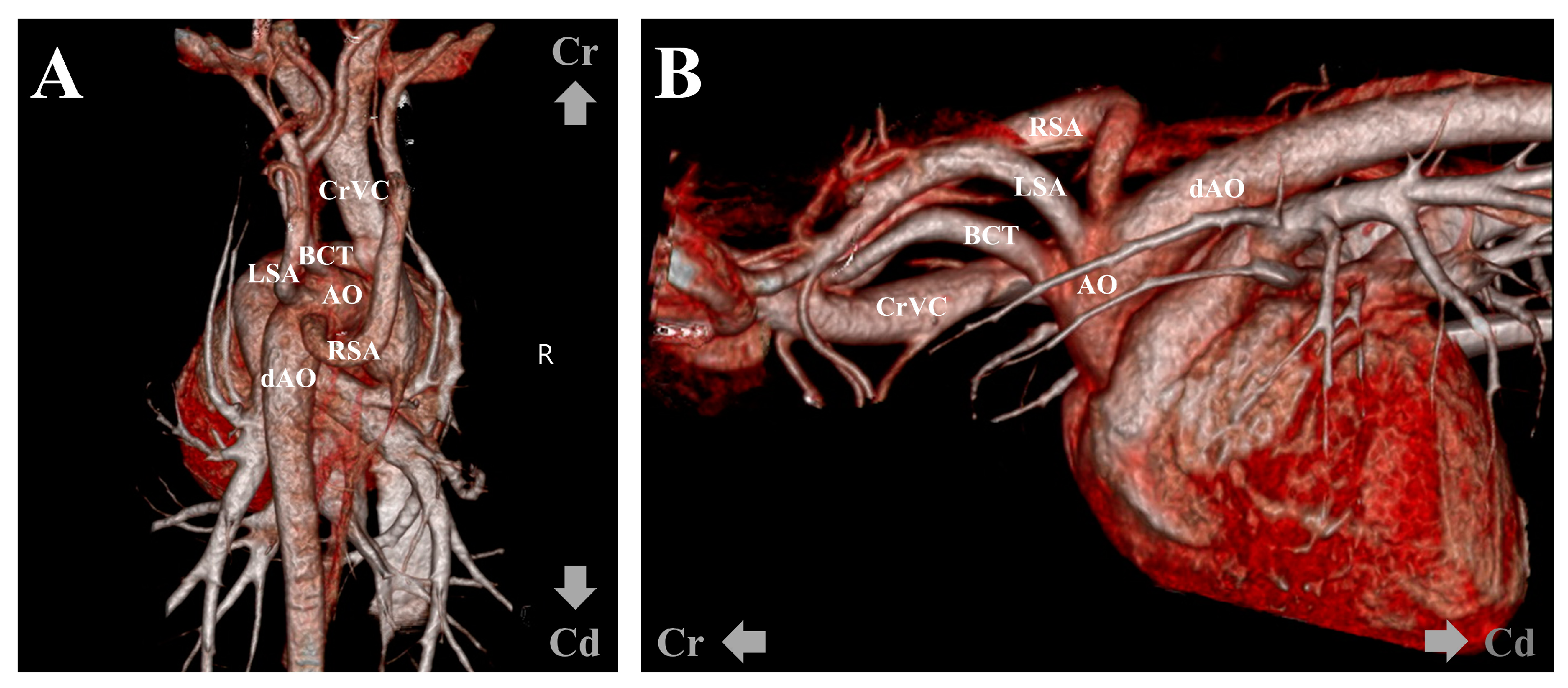 Vetsci 11 00263 g005