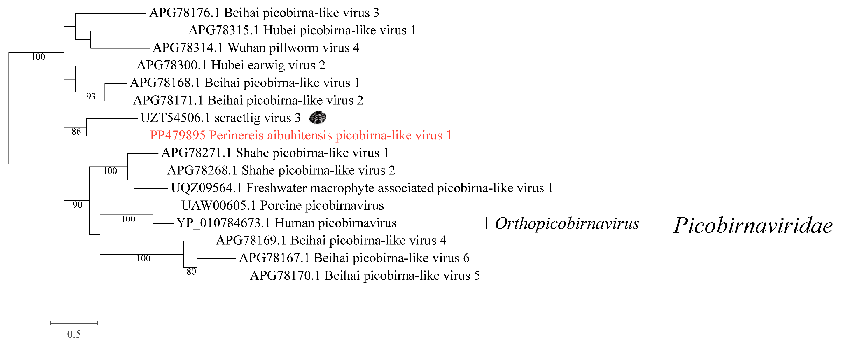 Vetsci 11 00273 g003