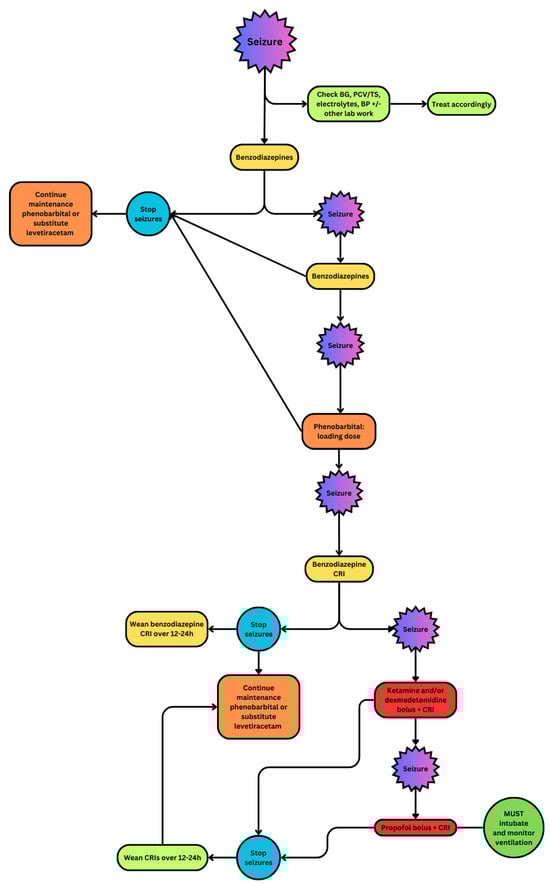 Vetsci 11 00277 g001