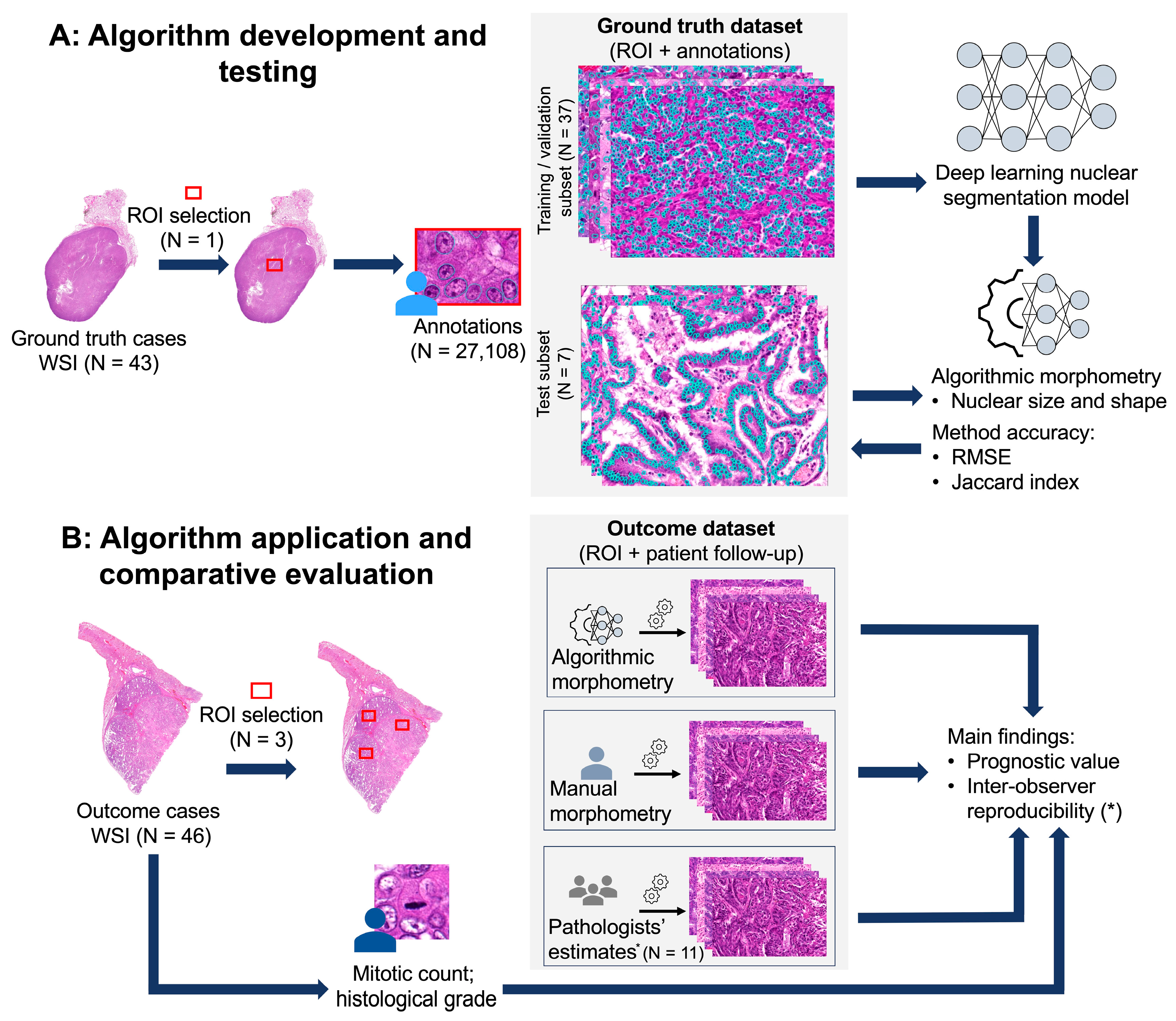 Vetsci 11 00278 g001