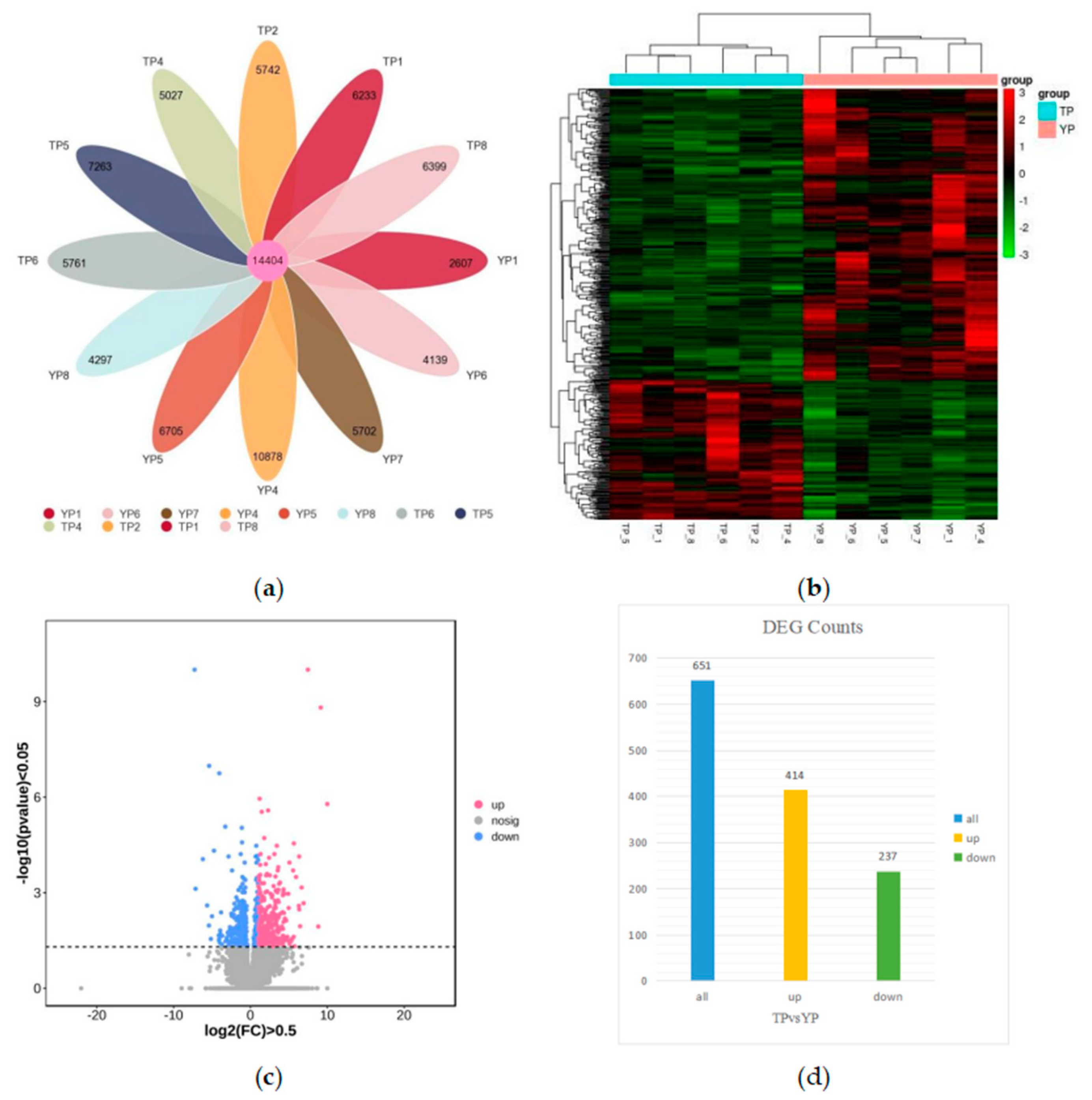 Vetsci 11 00283 g002
