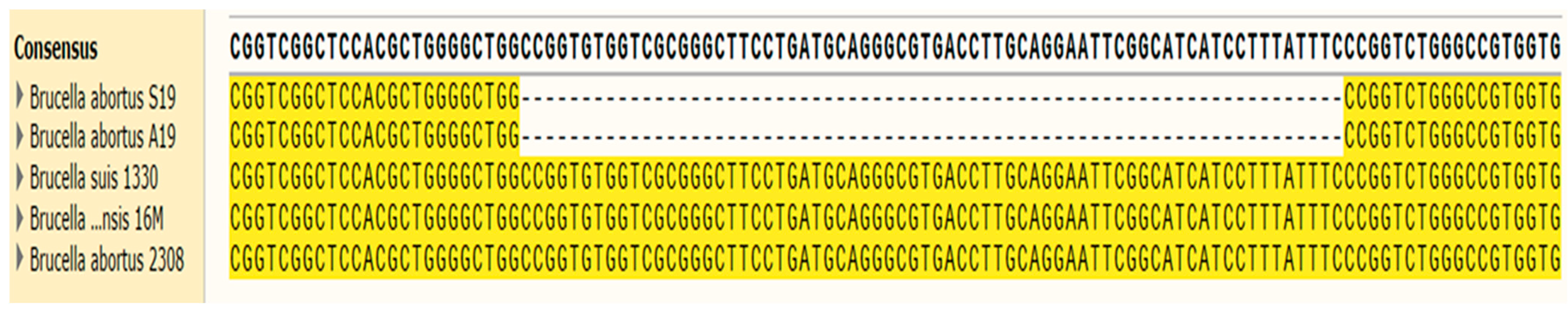 Vetsci 11 00288 g001