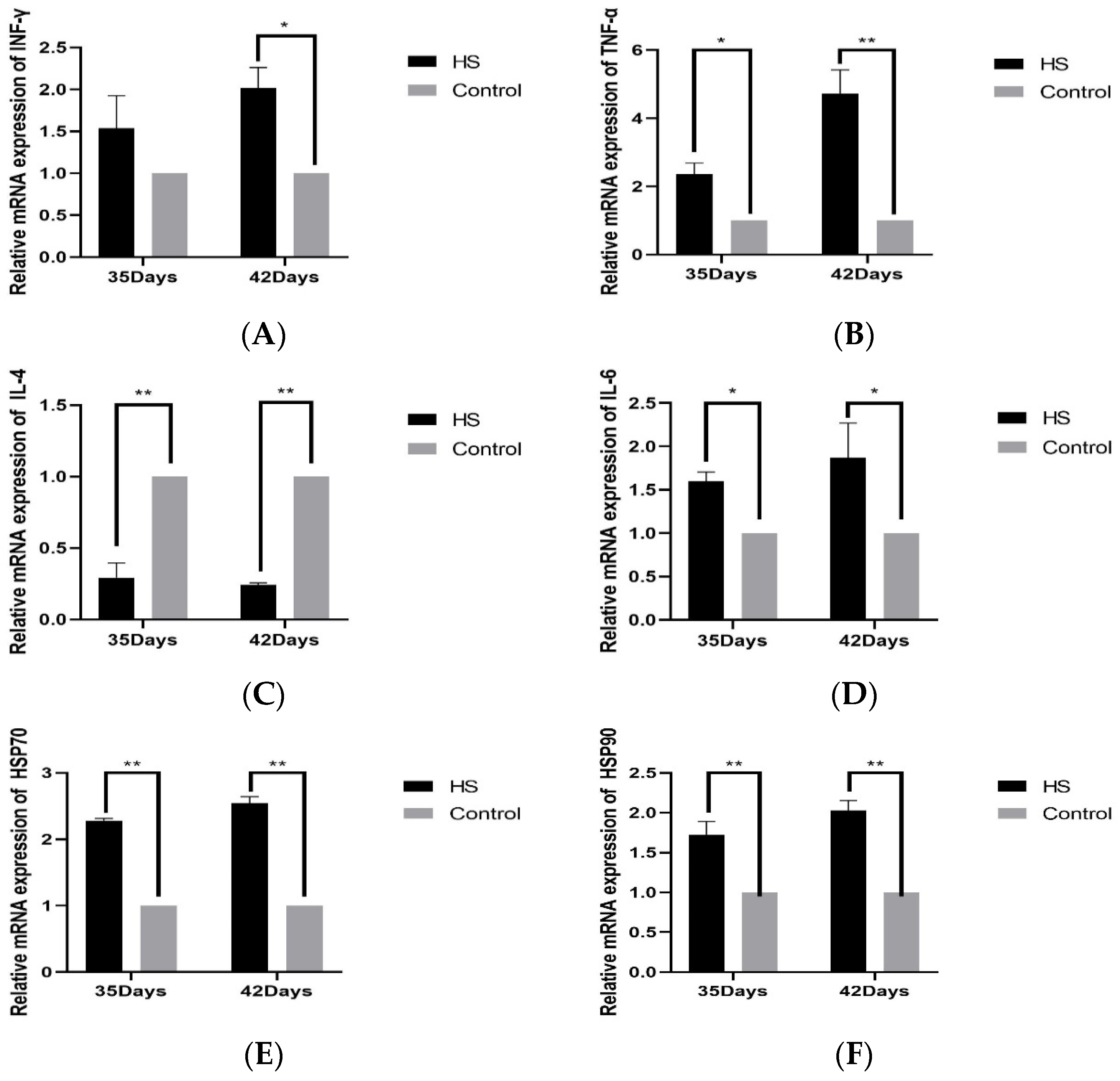 Vetsci 11 00293 g004