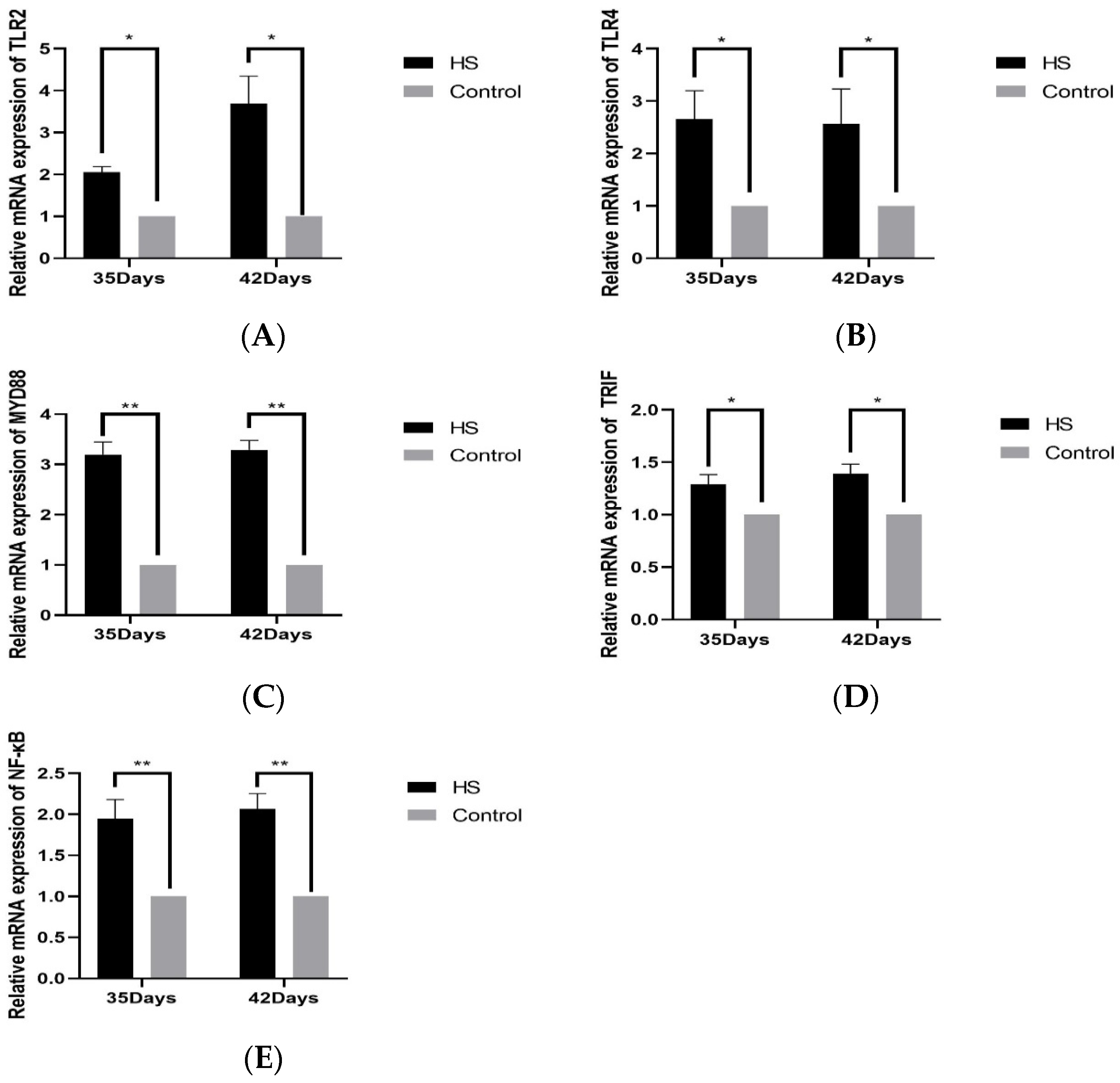 Vetsci 11 00293 g005