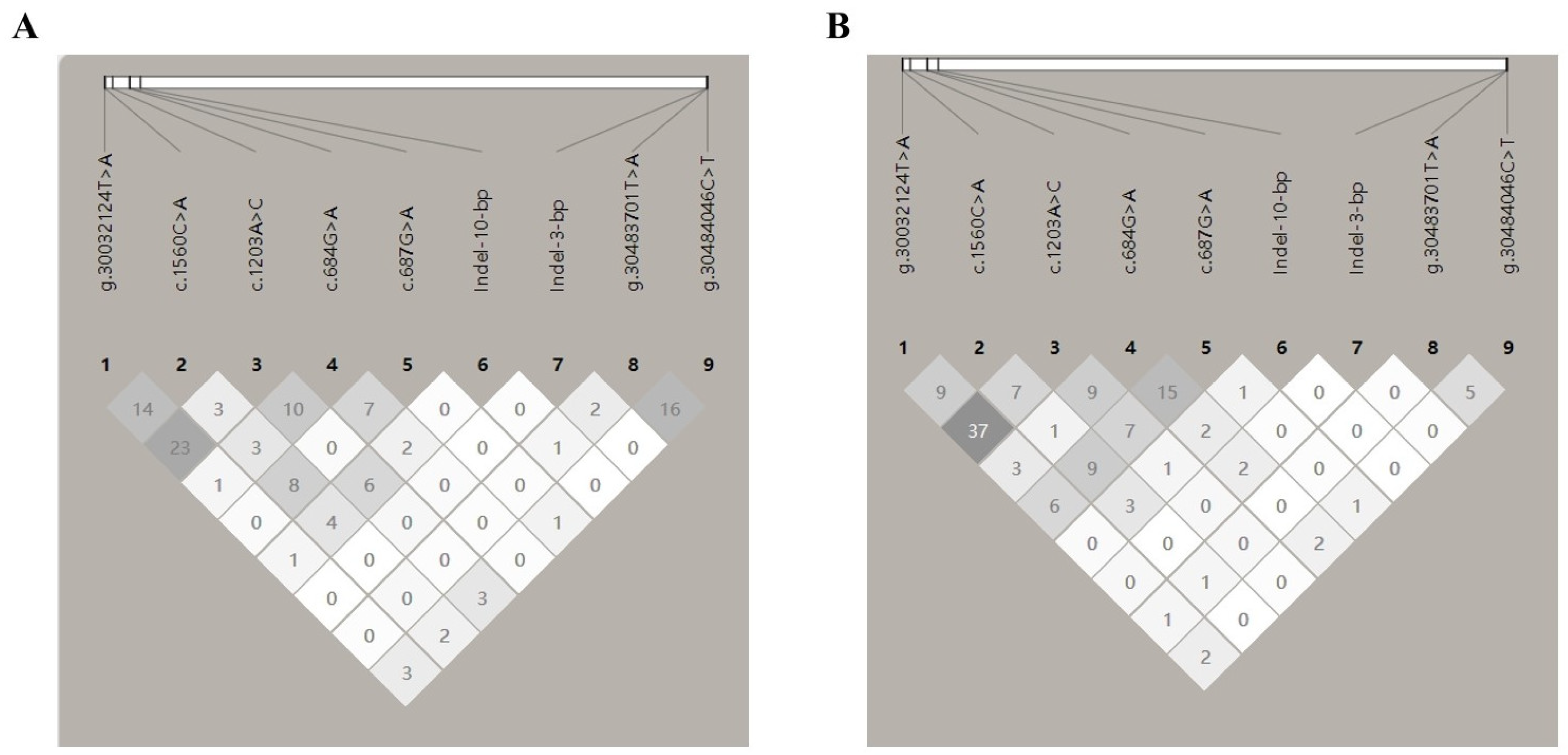 Vetsci 11 00297 g002