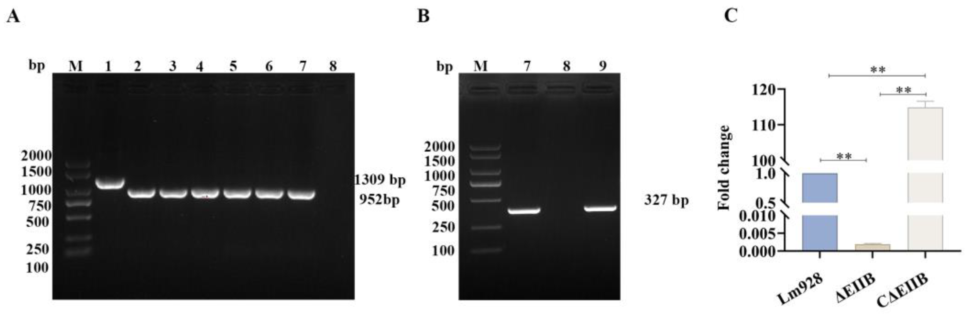 Vetsci 11 00301 g002