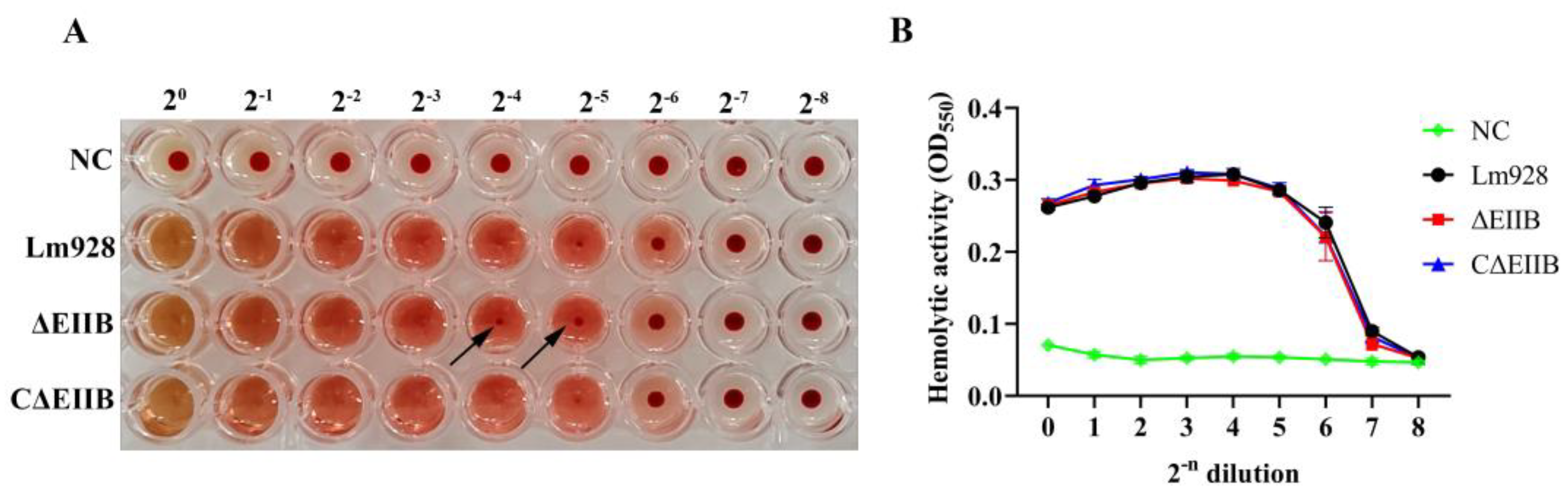 Vetsci 11 00301 g006