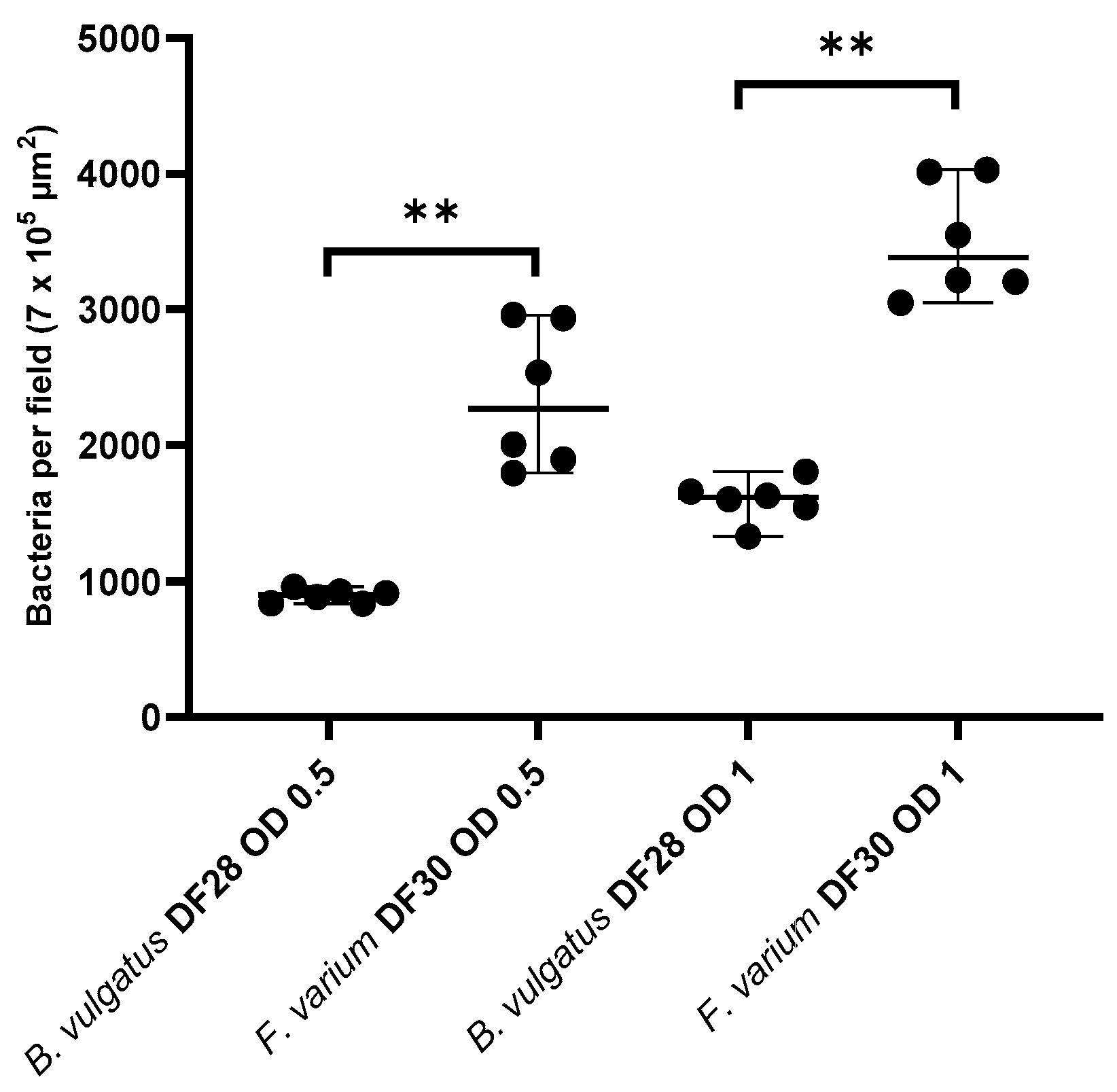 Vetsci 11 00319 g002 Vetsci 11 00319 g002