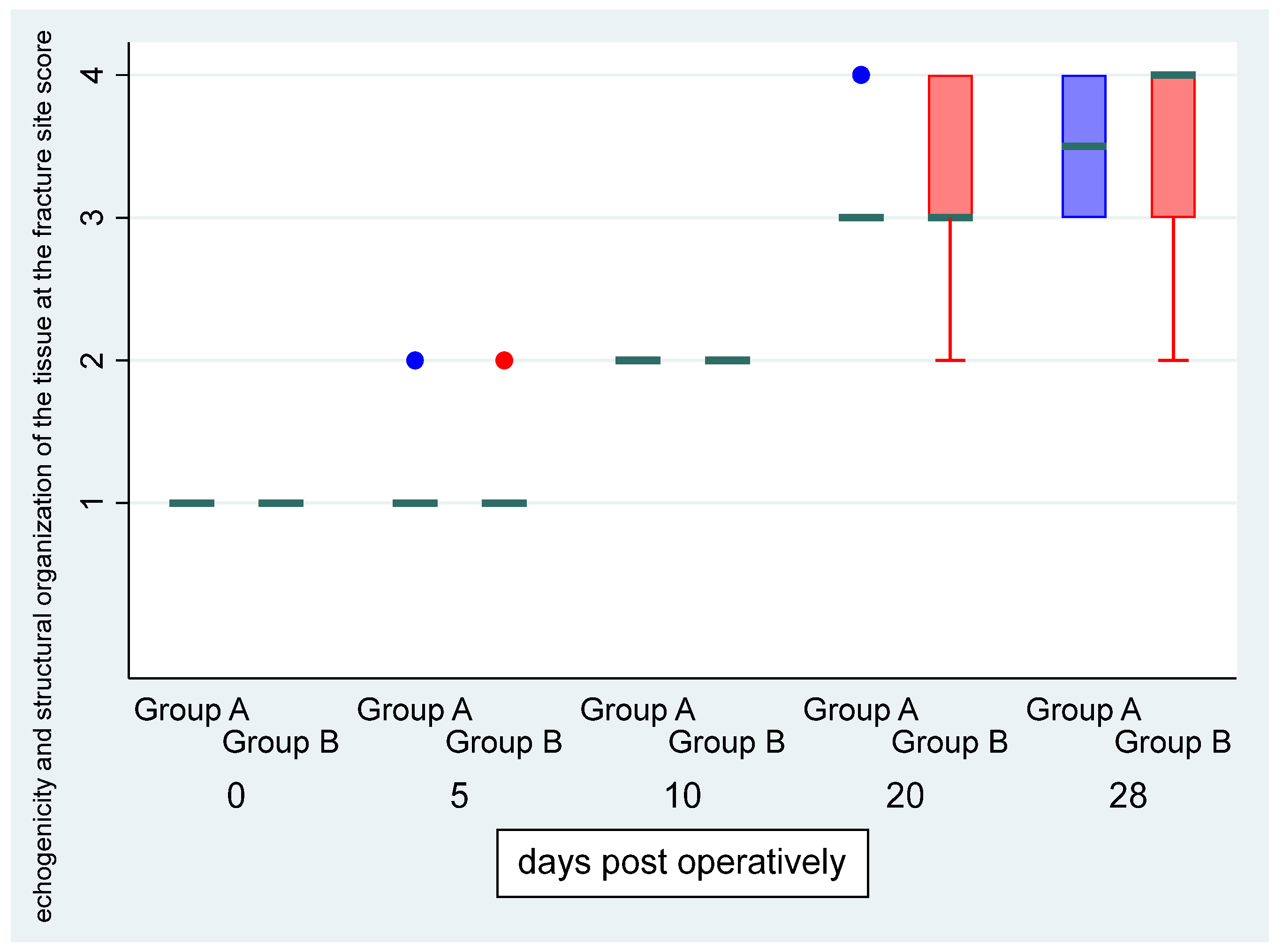 Vetsci 11 00343 g003