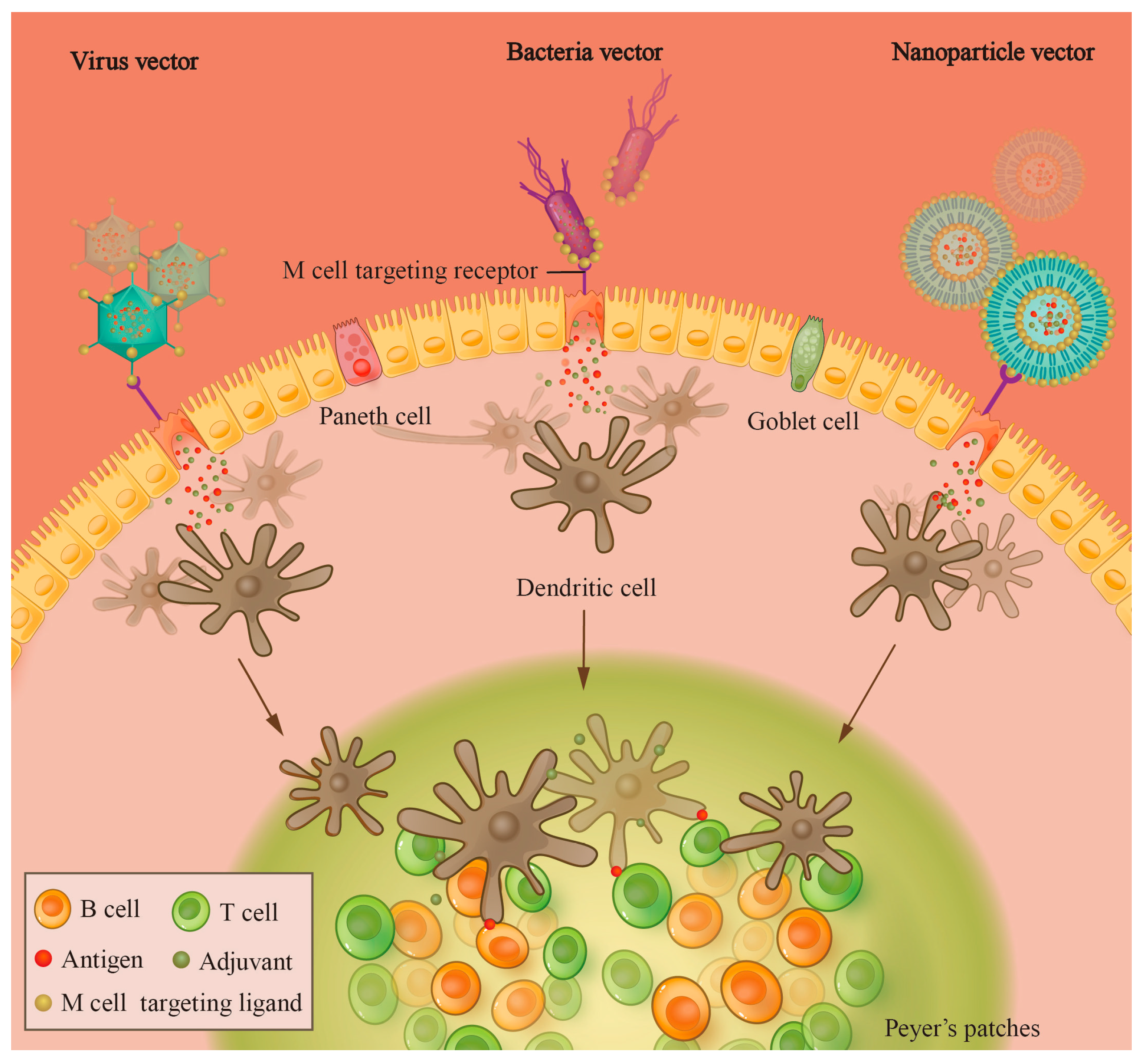 Vetsci 11 00353 g001 Vetsci 11 00353 g001