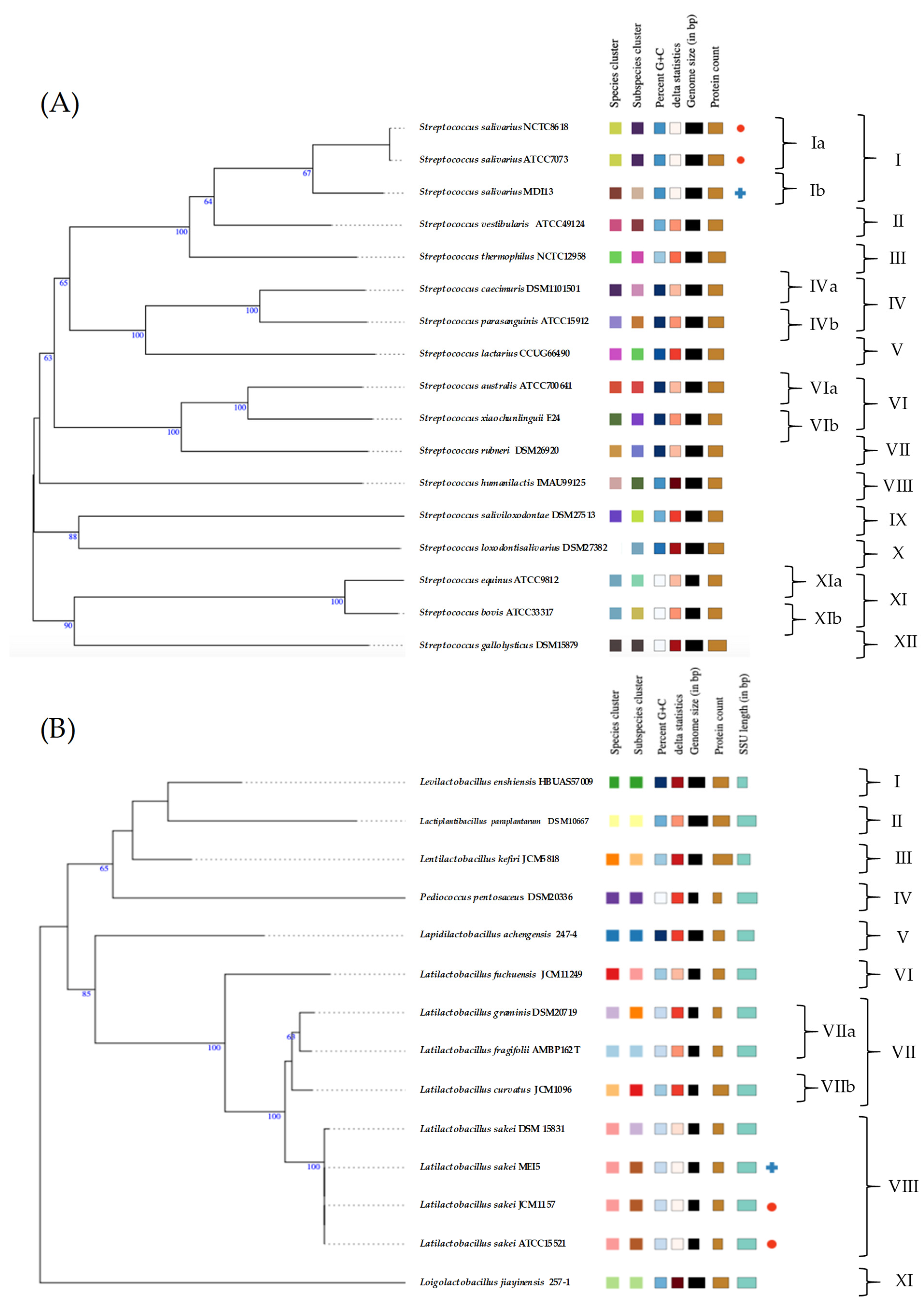 Vetsci 11 00365 g002 Vetsci 11 00365 g002