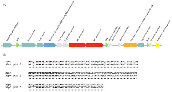 Vetsci 11 00365 g004