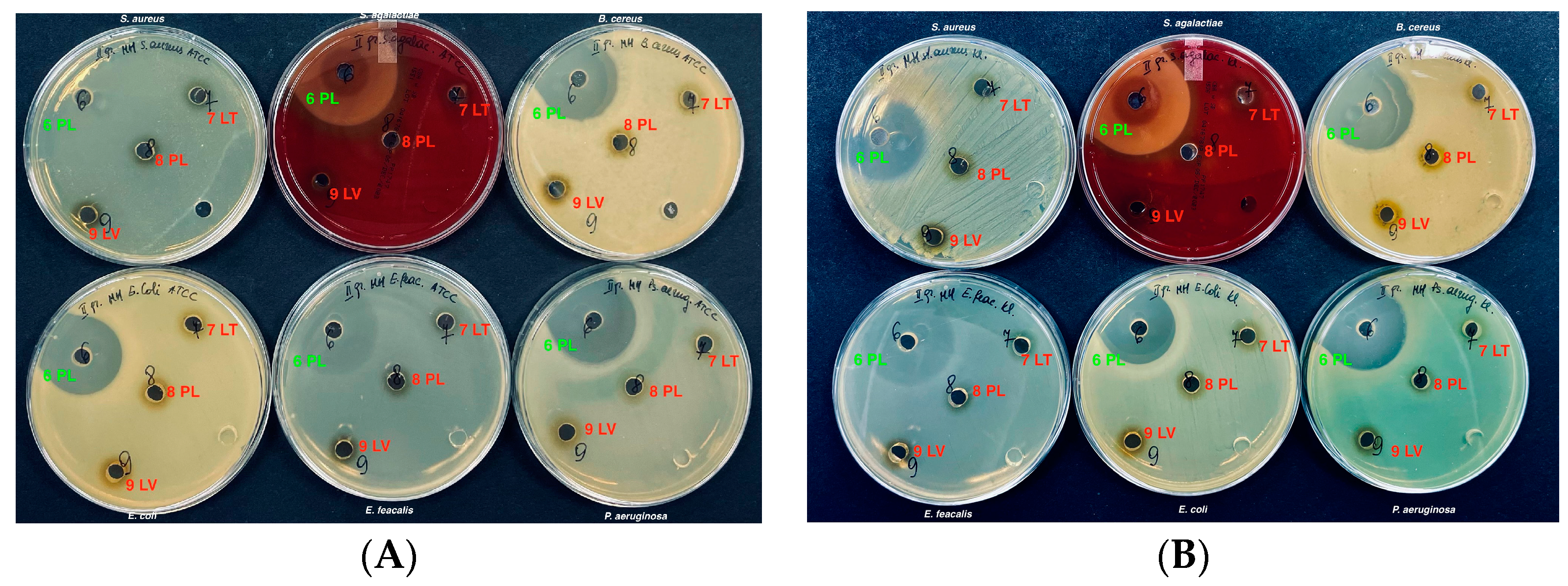 Vetsci 11 00375 g002 Vetsci 11 00375 g002