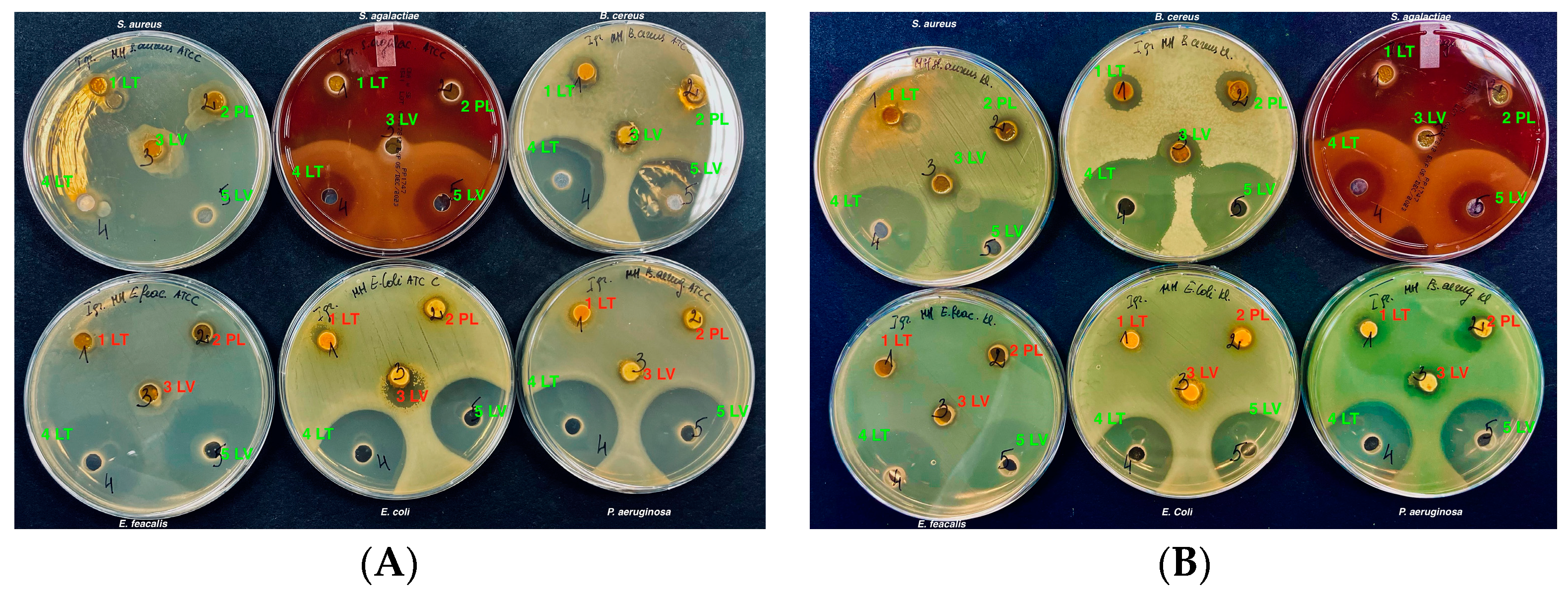 Vetsci 11 00375 g004 Vetsci 11 00375 g004
