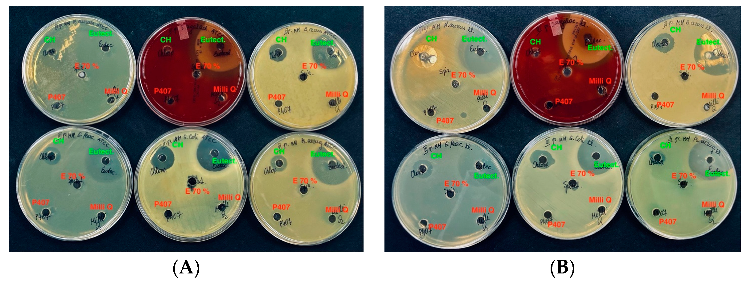Vetsci 11 00375 g007 Vetsci 11 00375 g007