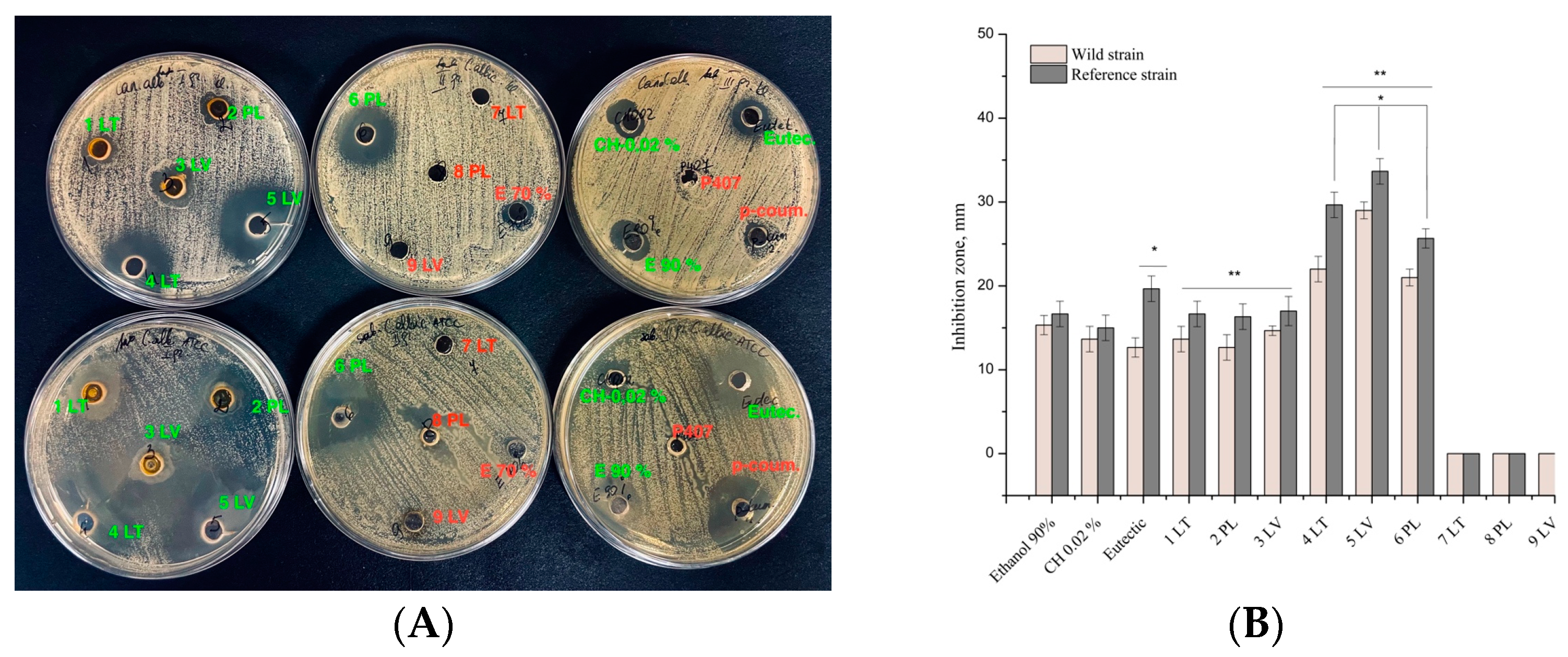 Vetsci 11 00375 g008 Vetsci 11 00375 g008