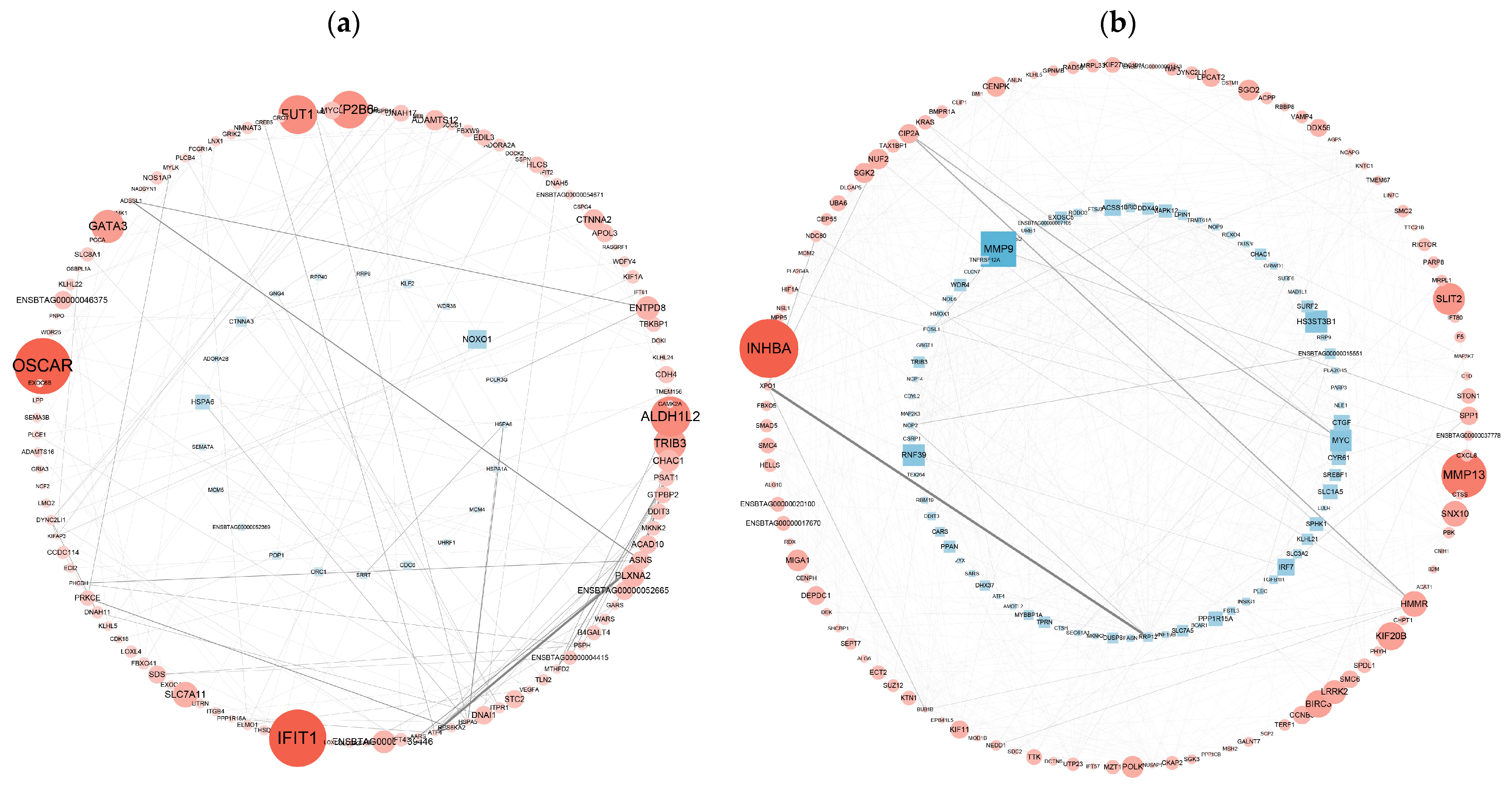 Vetsci 11 00376 g007