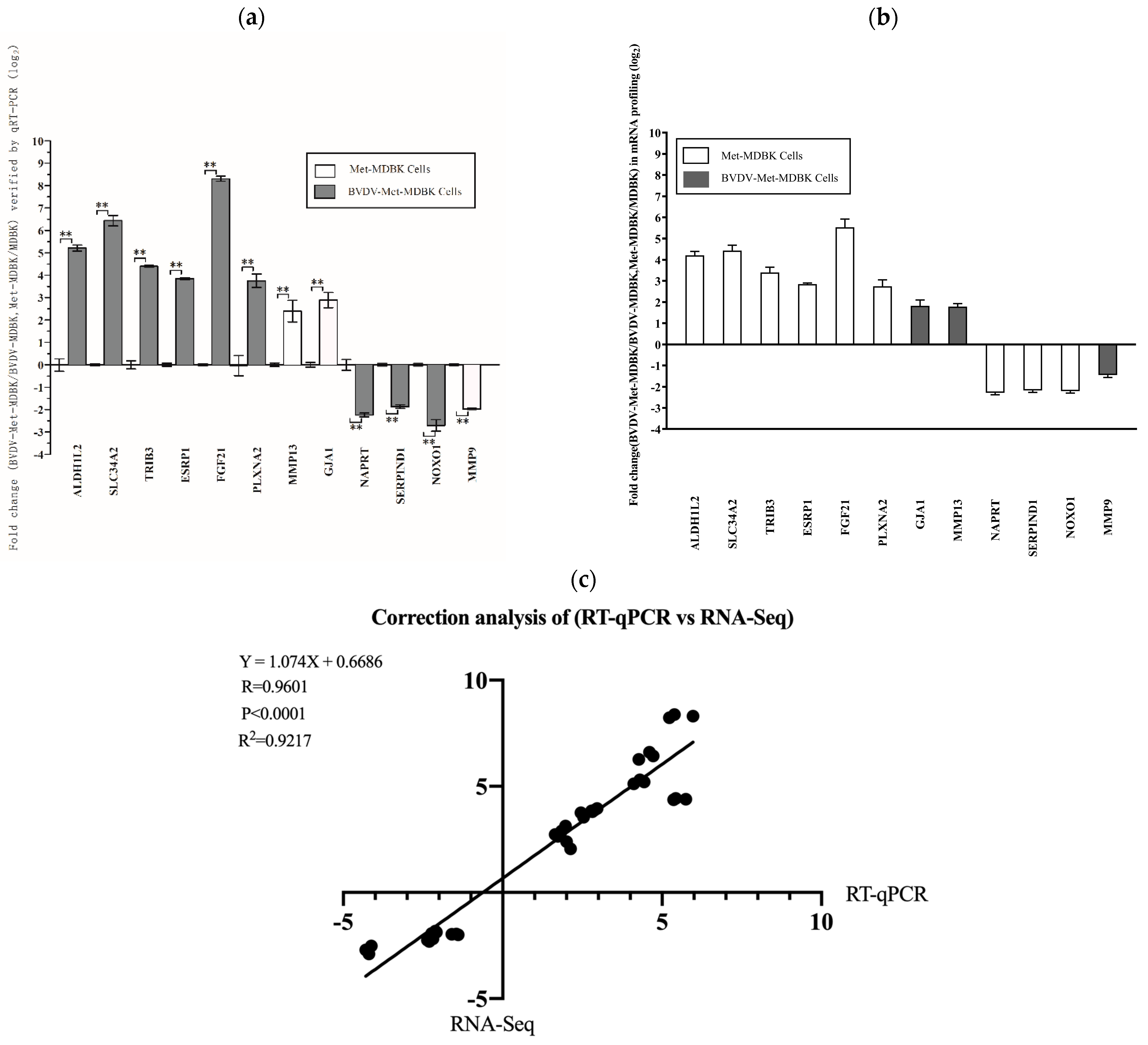 Vetsci 11 00376 g008