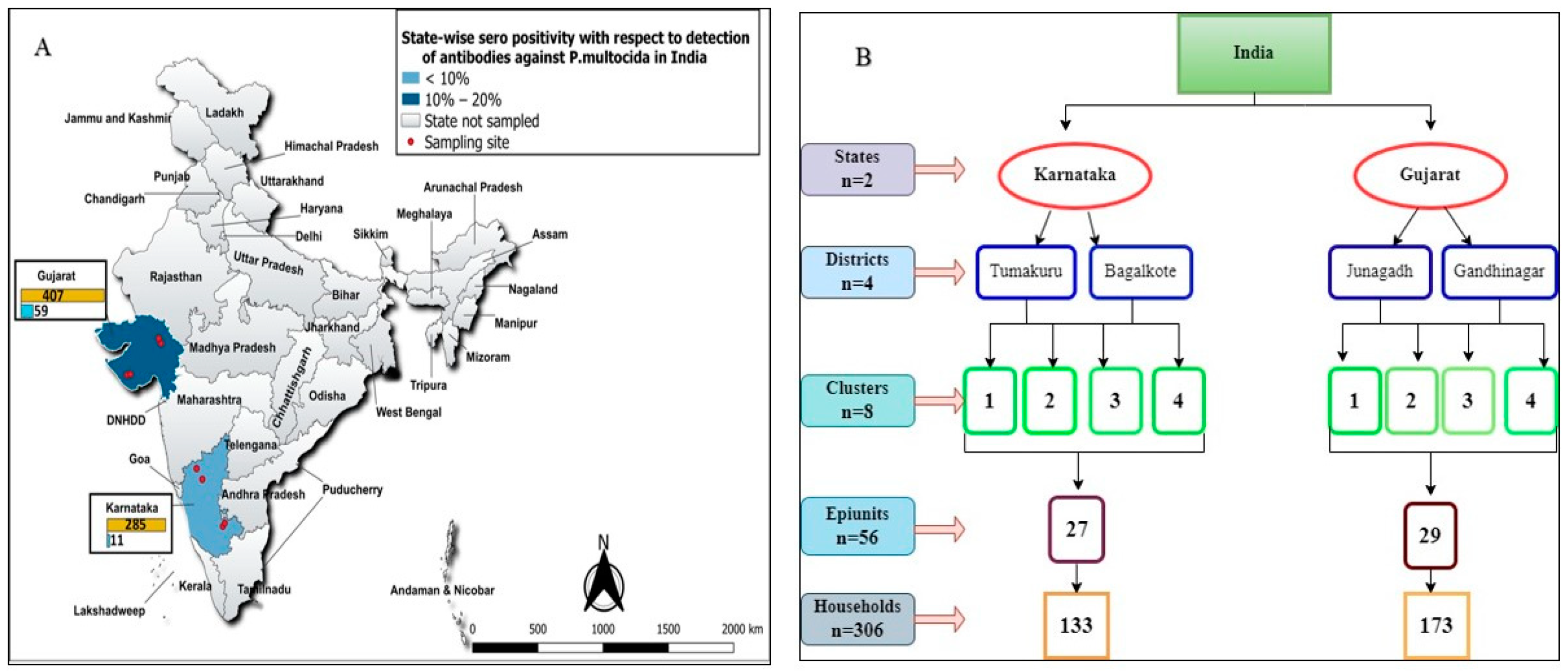 Vetsci 11 00386 g001