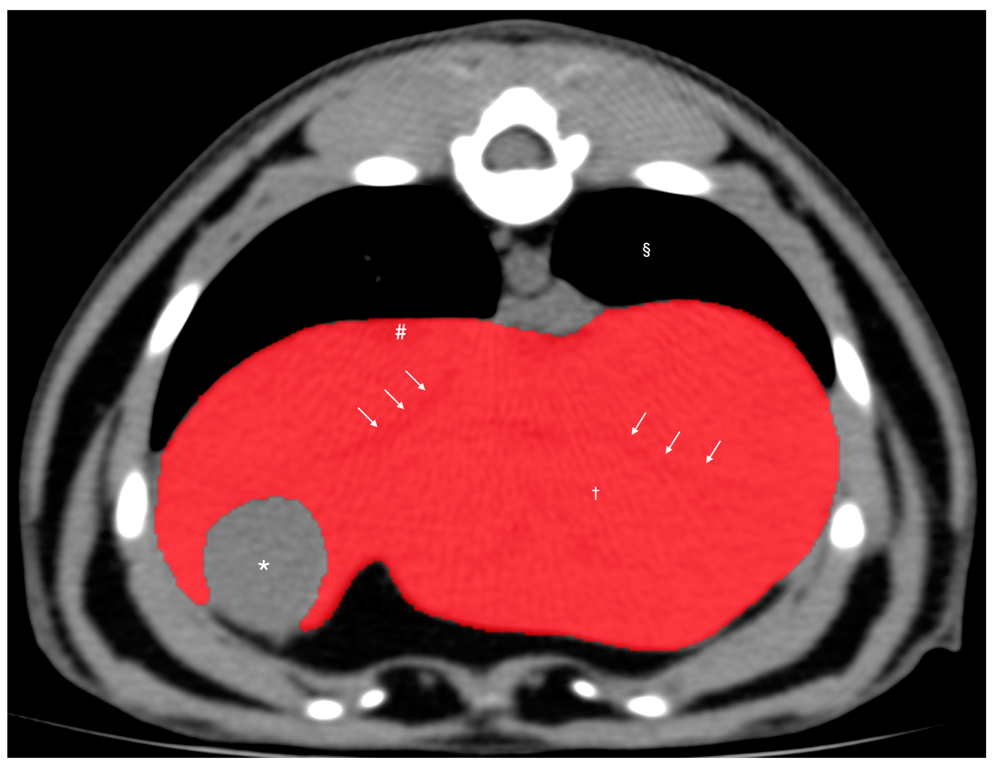 Vetsci 11 00390 g001