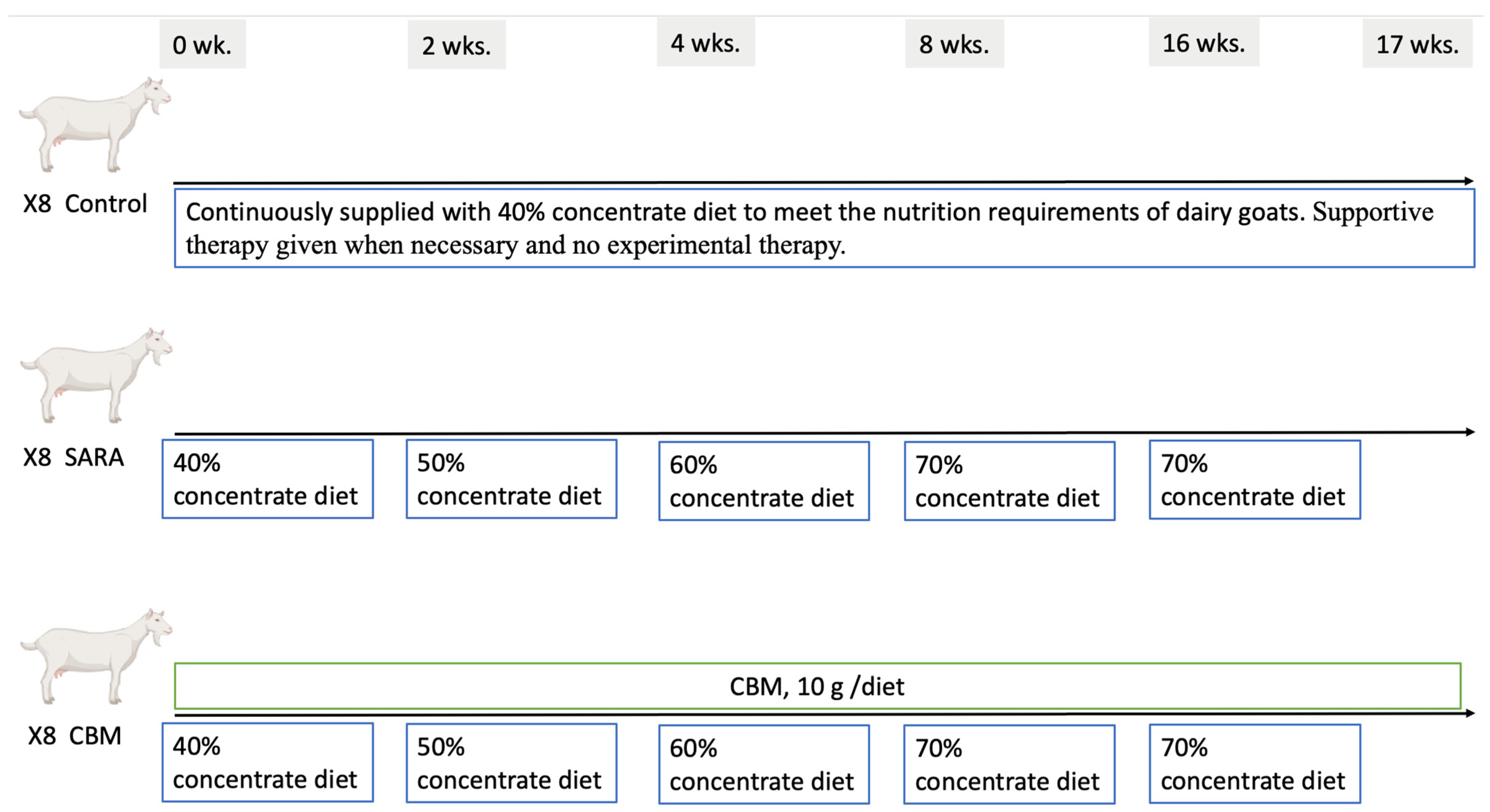 Vetsci 11 00395 g001