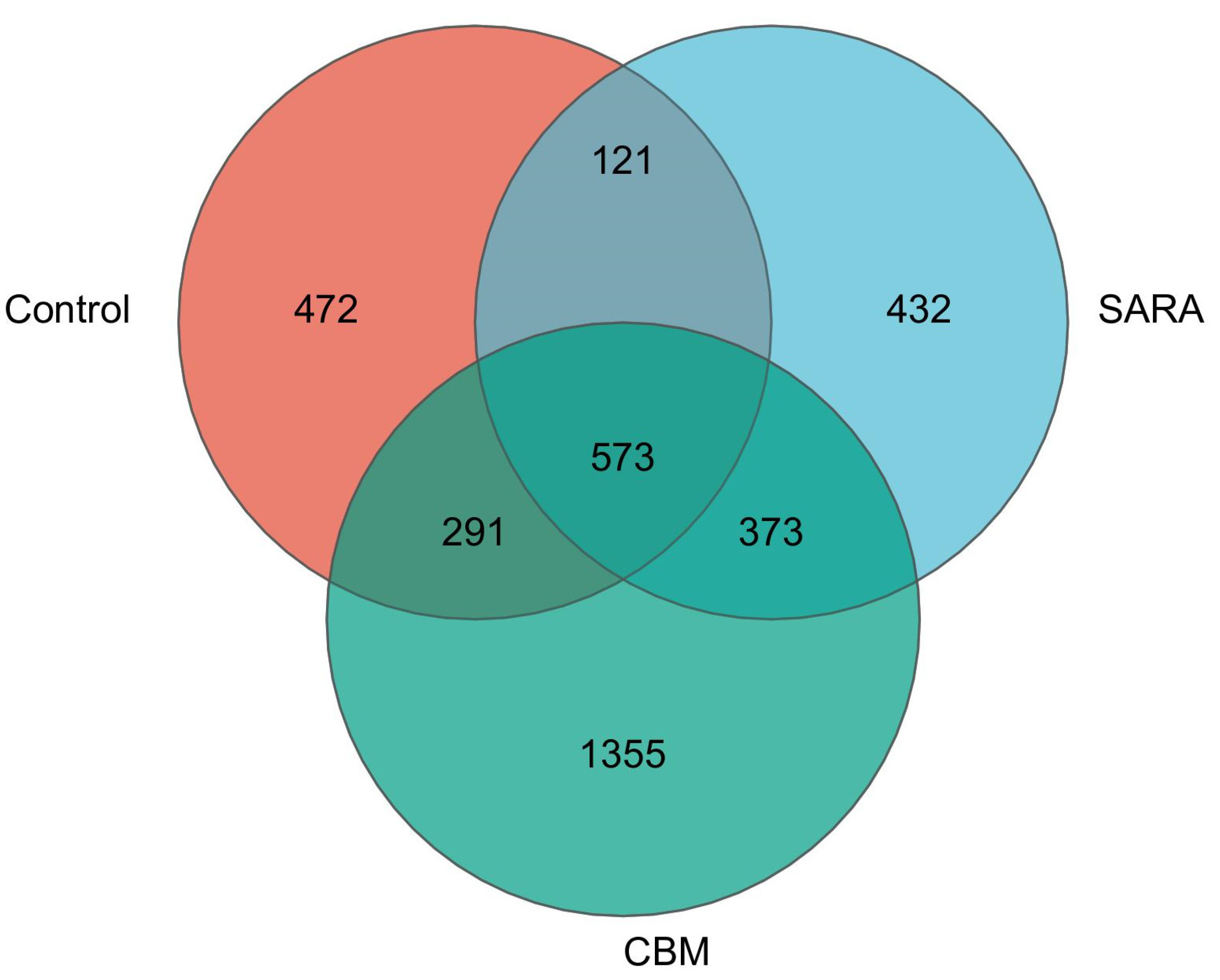 Vetsci 11 00395 g010