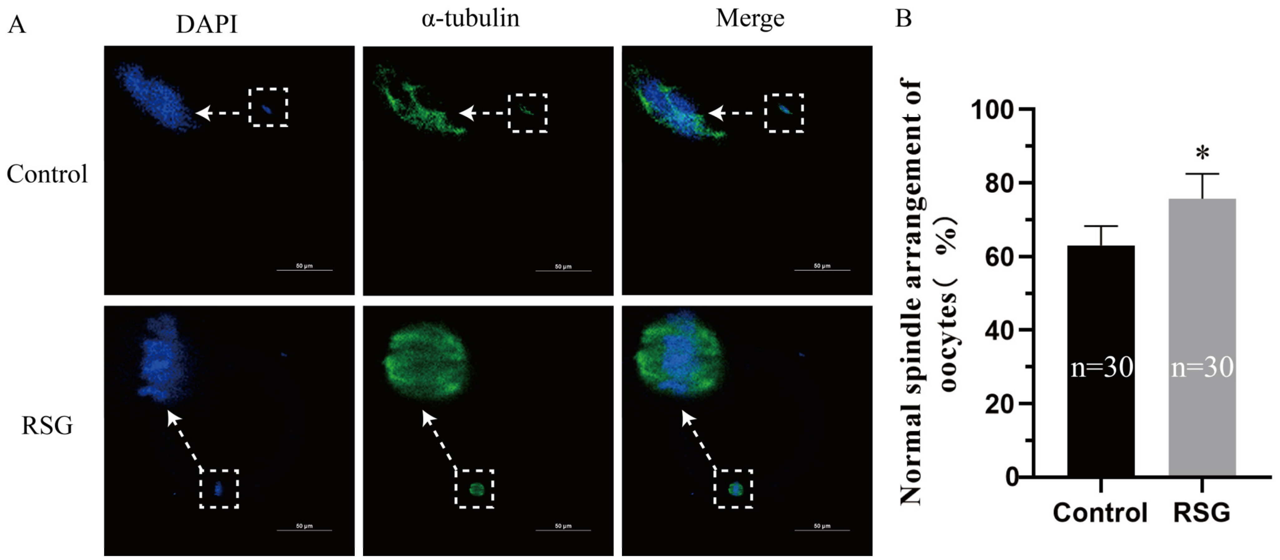 Vetsci 11 00397 g001