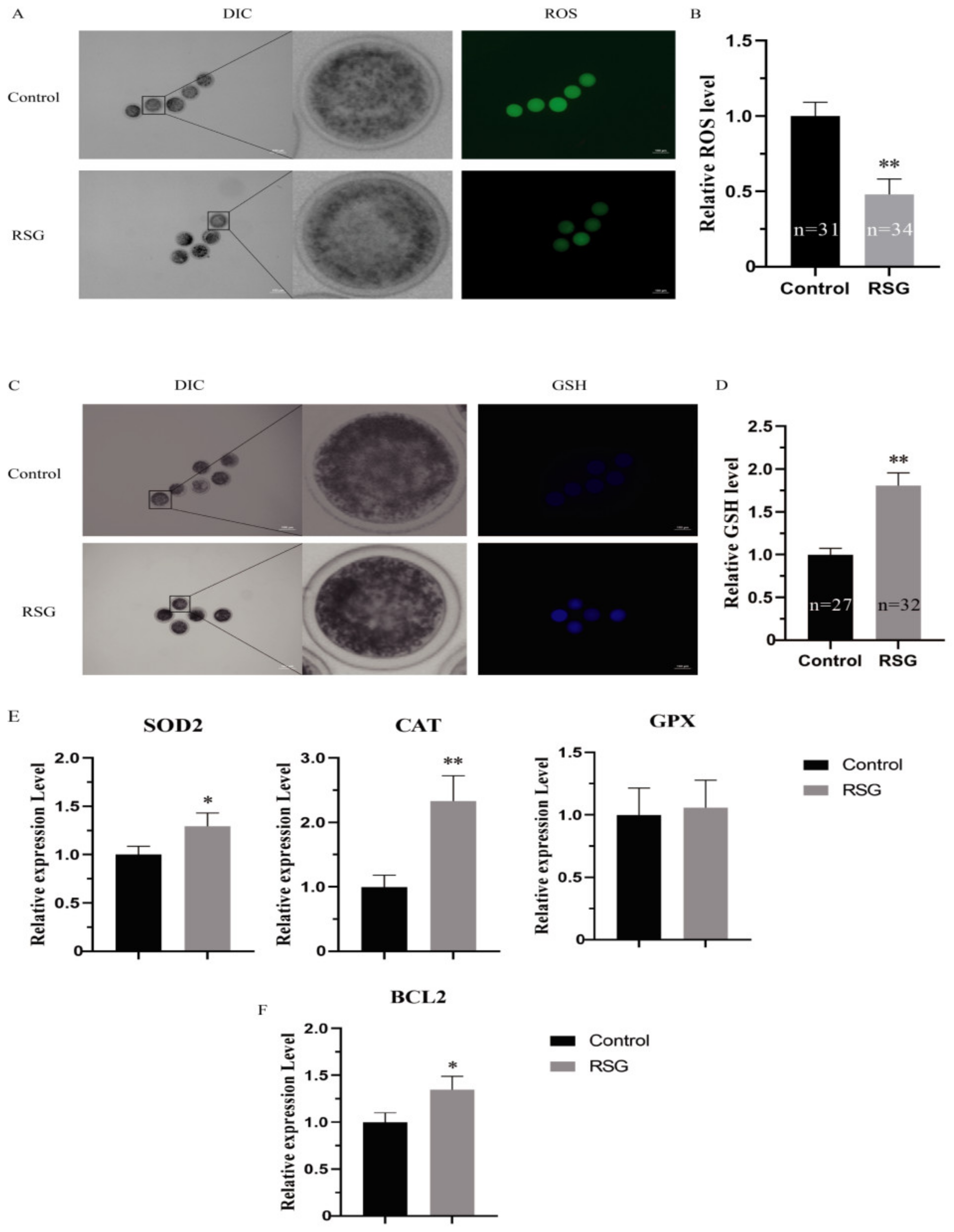 Vetsci 11 00397 g003