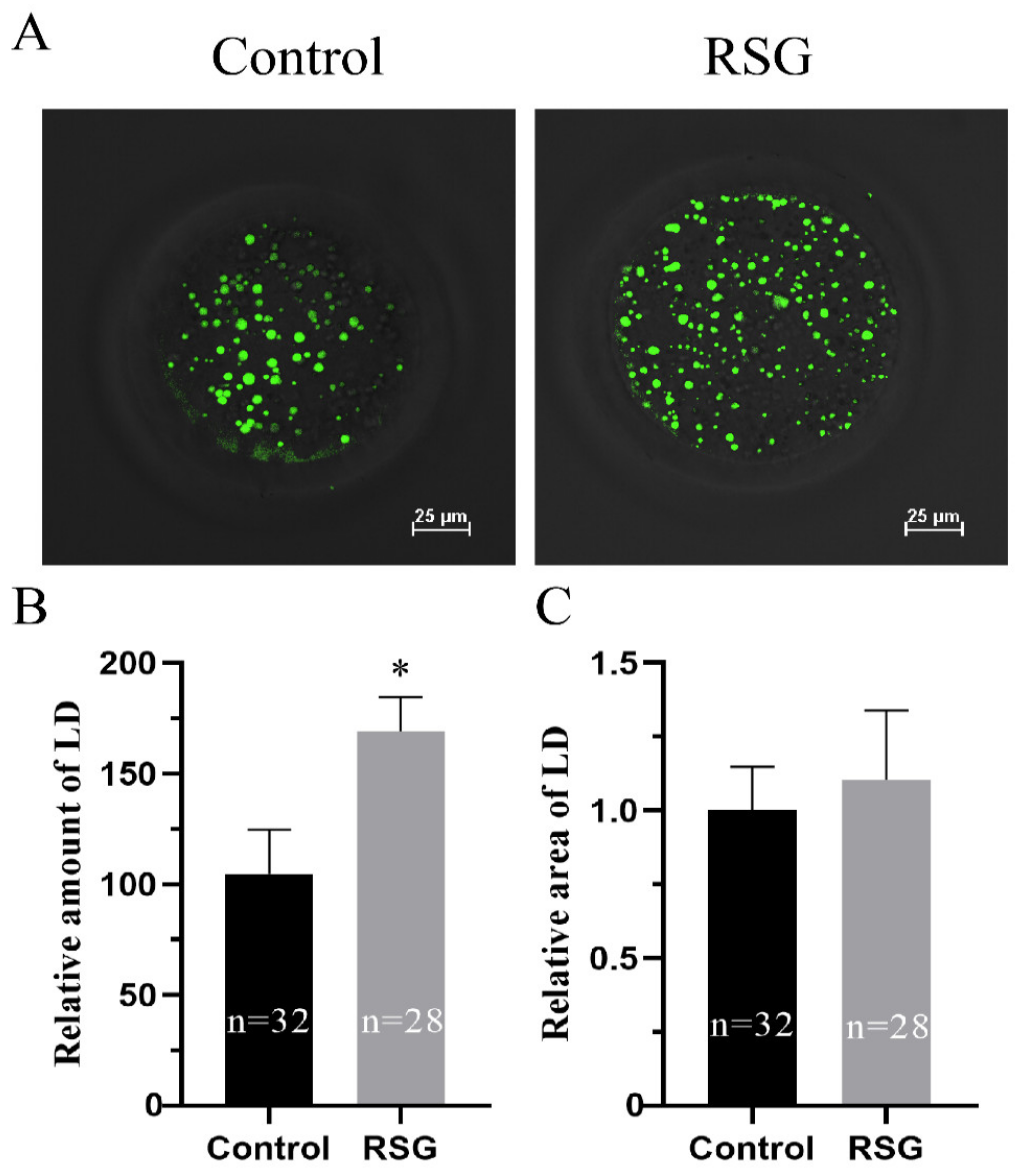 Vetsci 11 00397 g004