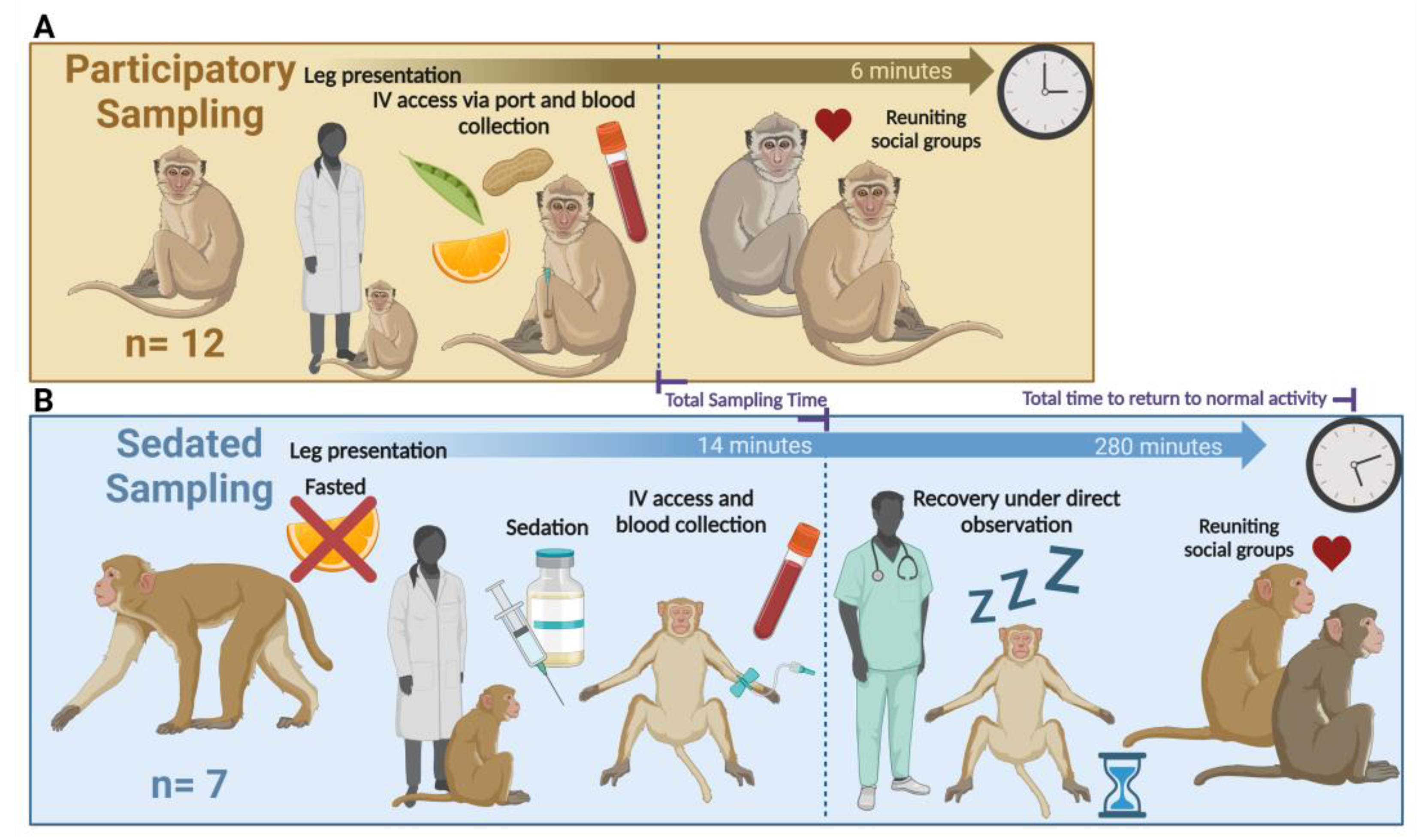Vetsci 11 00401 g001 Vetsci 11 00401 g001