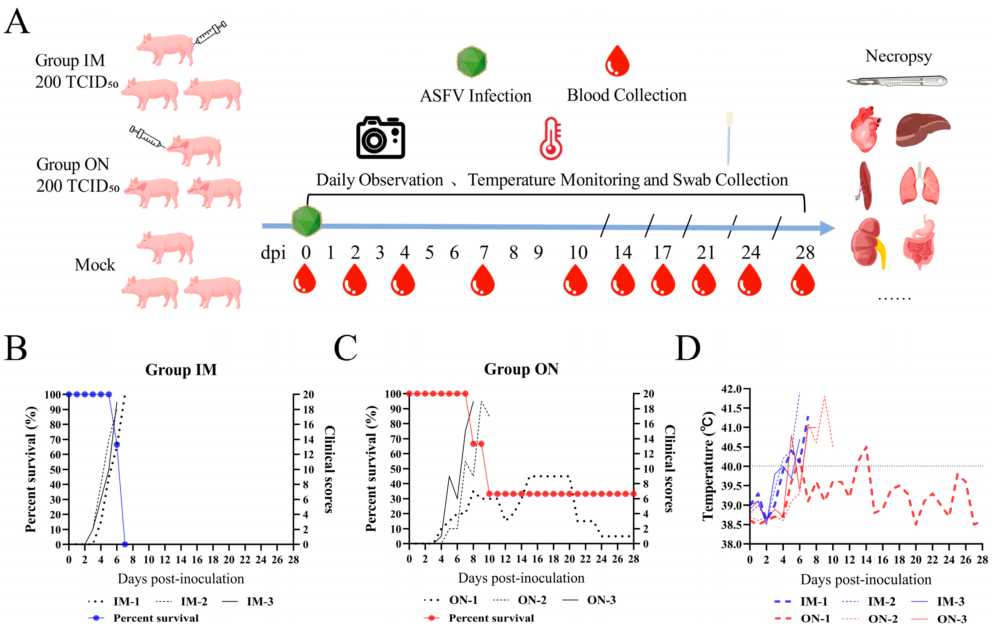 Vetsci 11 00403 g002