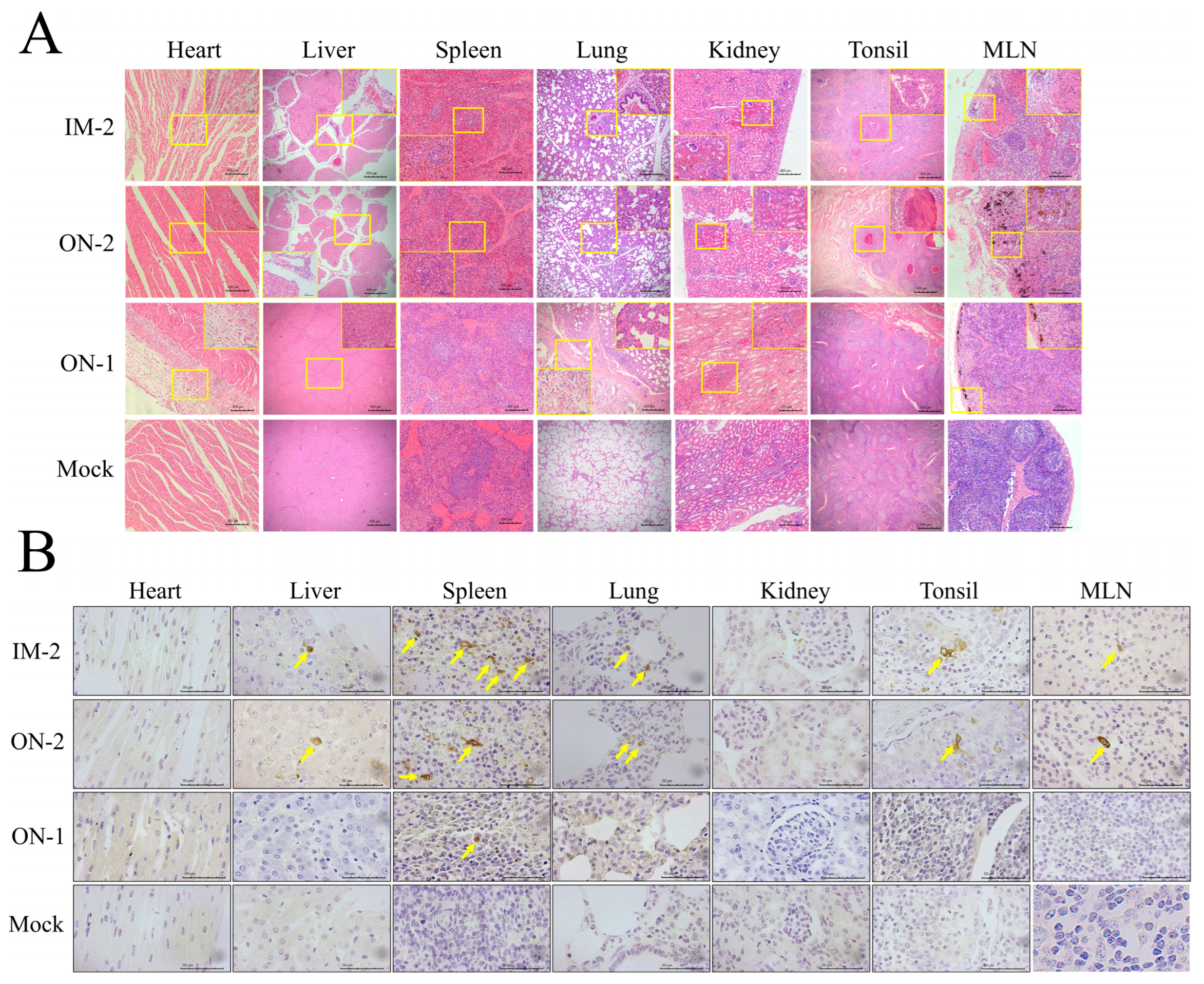 Vetsci 11 00403 g007