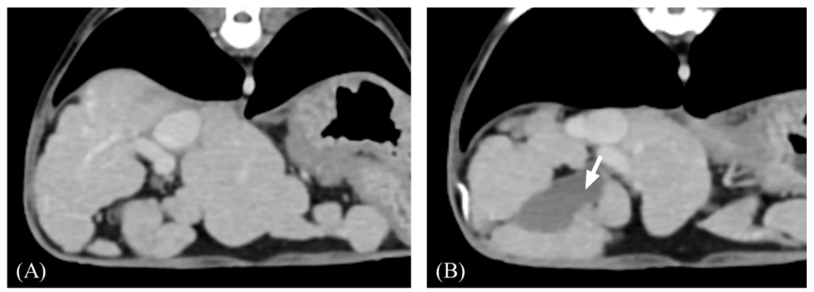 Vetsci 11 00404 g001