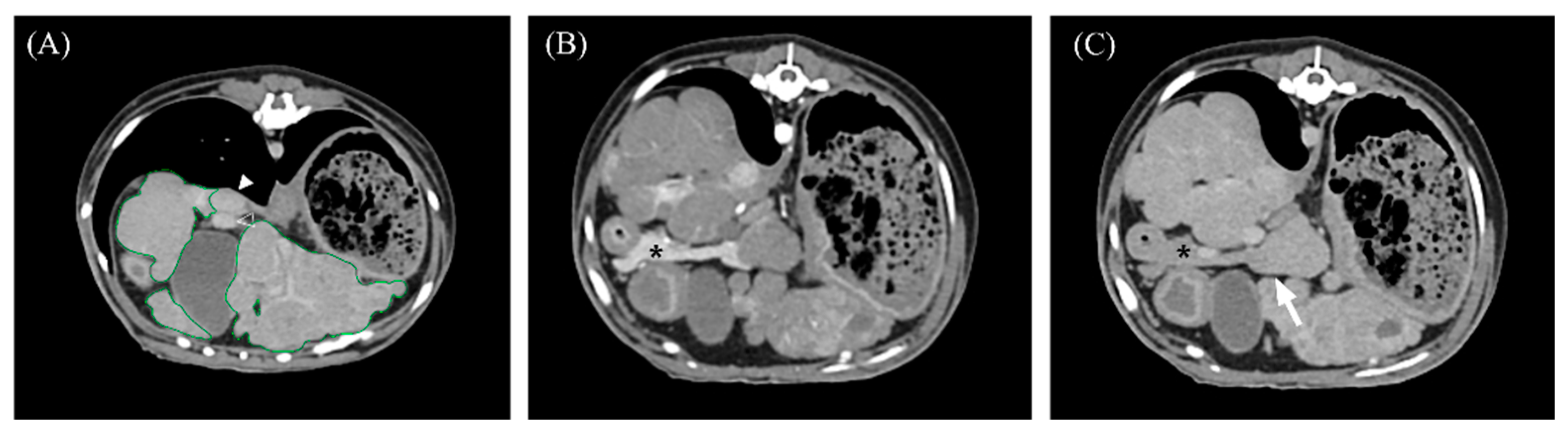 Vetsci 11 00404 g003