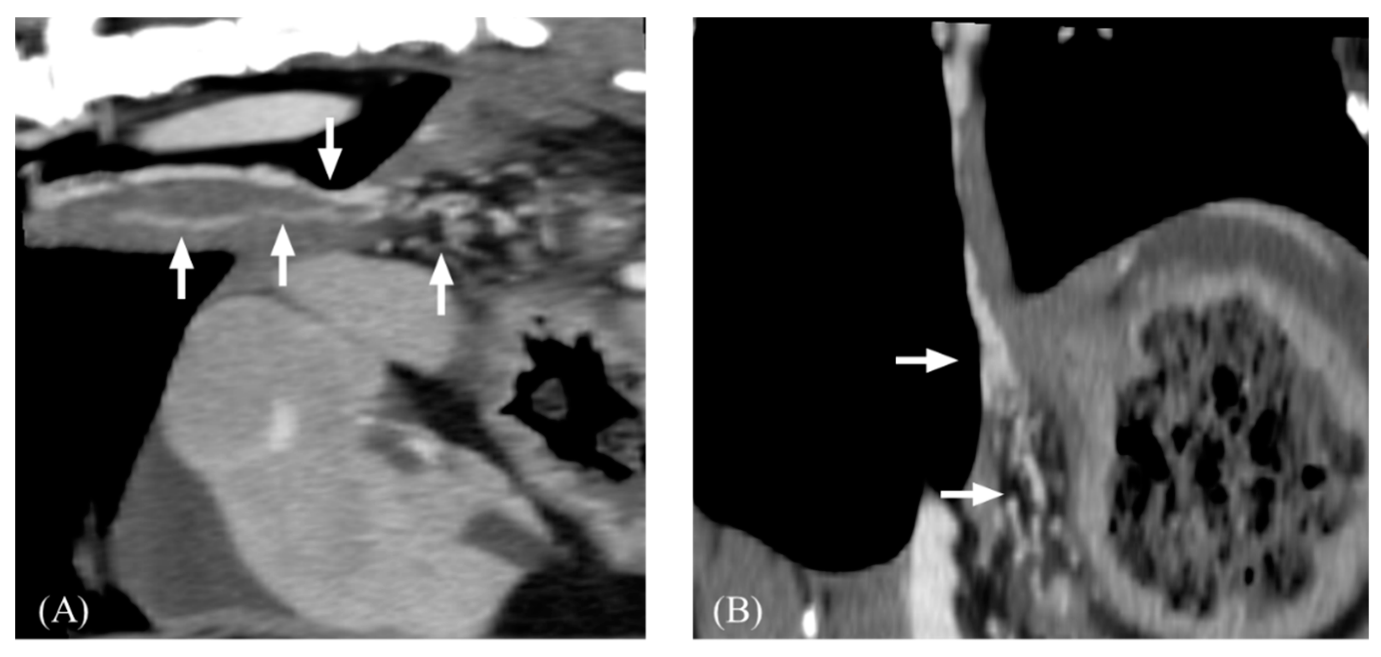 Vetsci 11 00404 g006