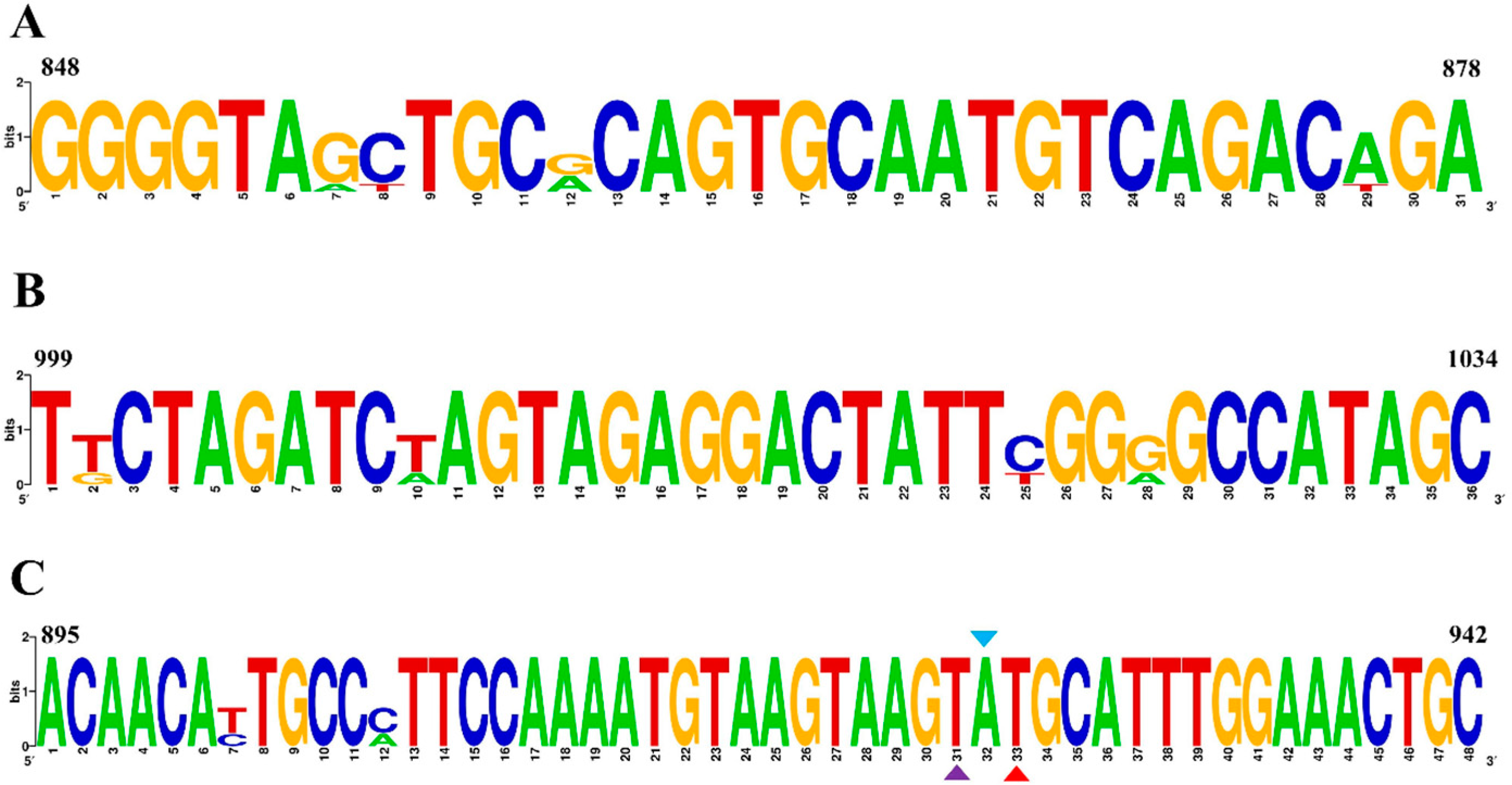 Vetsci 11 00411 g002