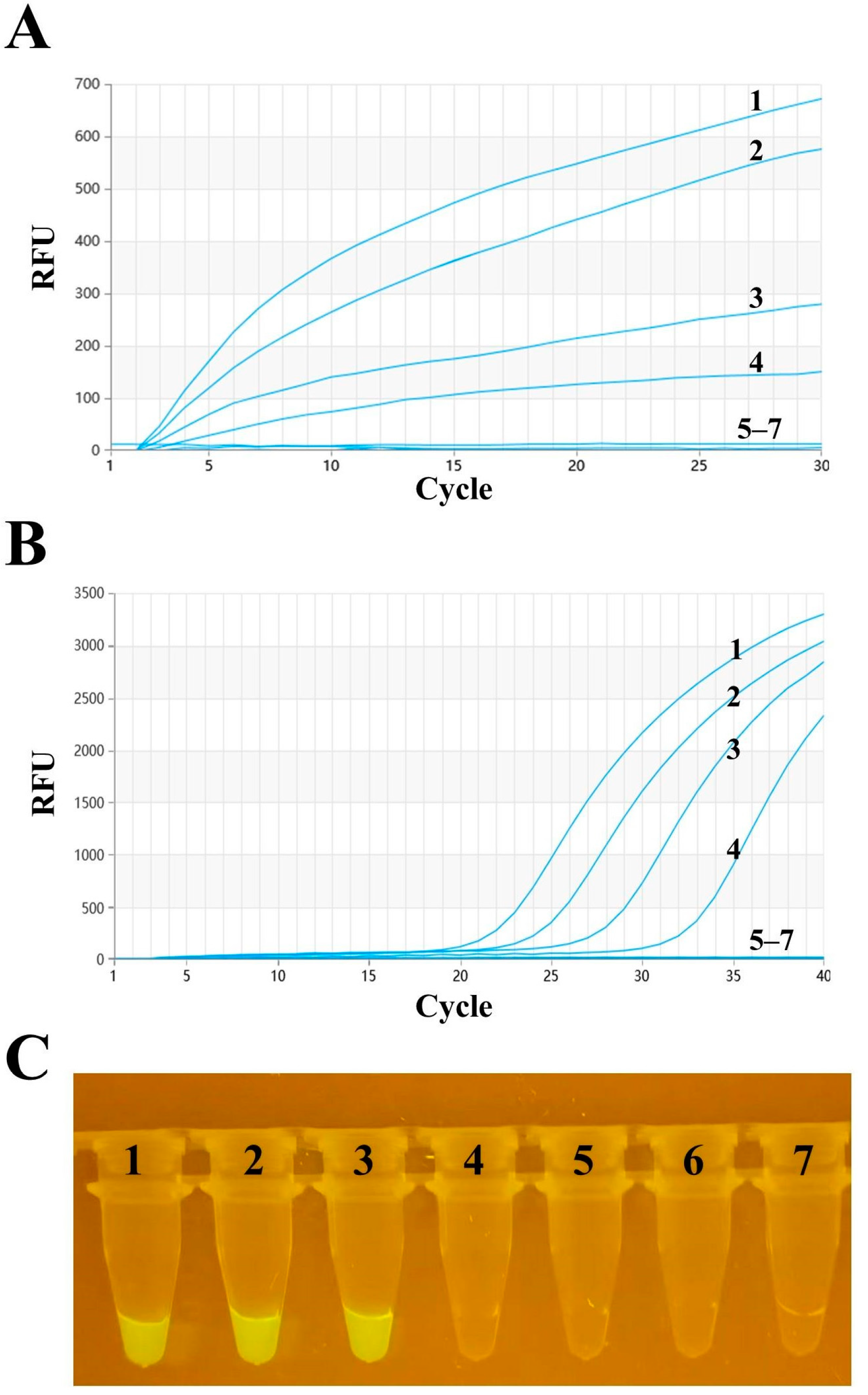 Vetsci 11 00411 g004