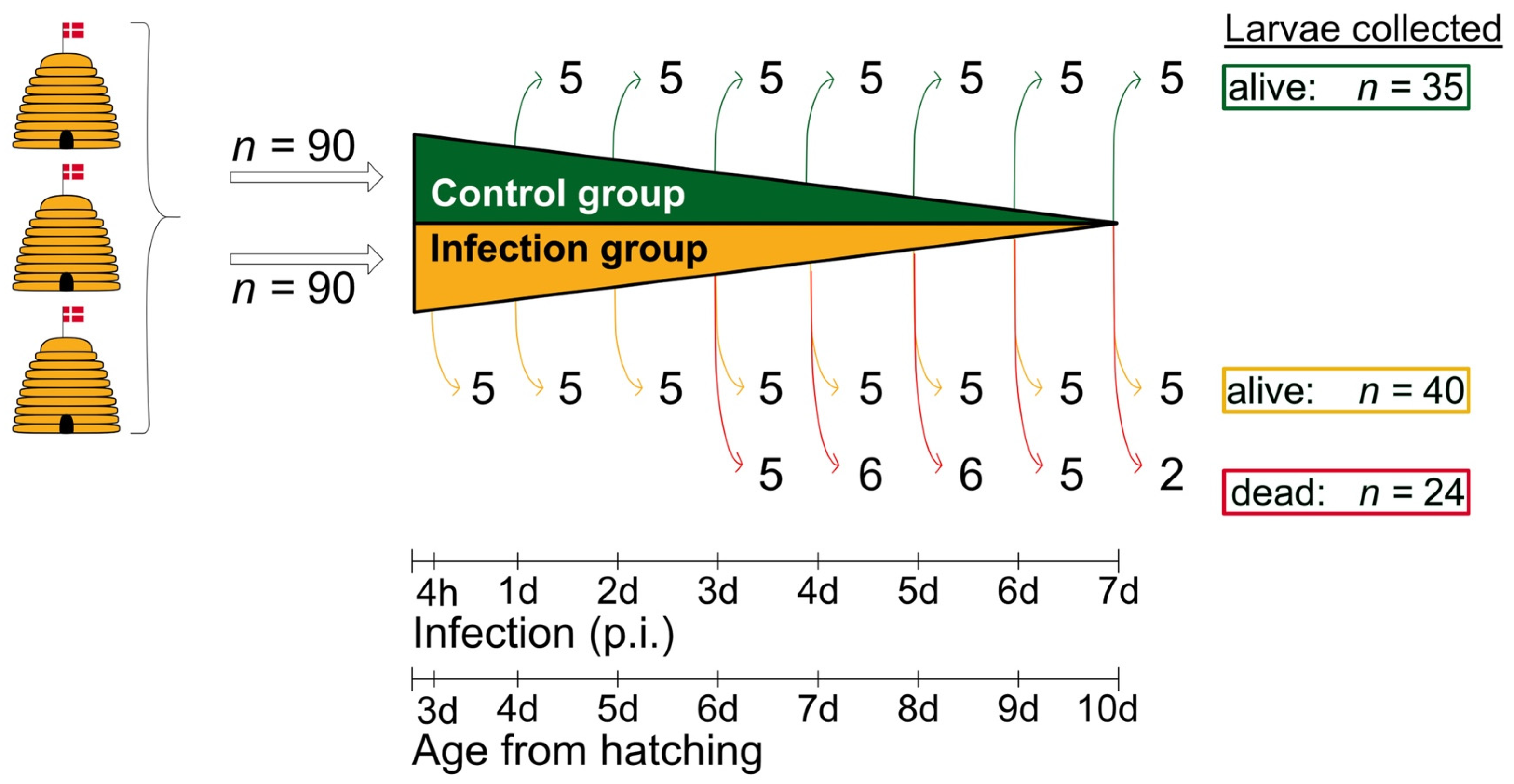 Vetsci 11 00415 g001 Vetsci 11 00415 g001