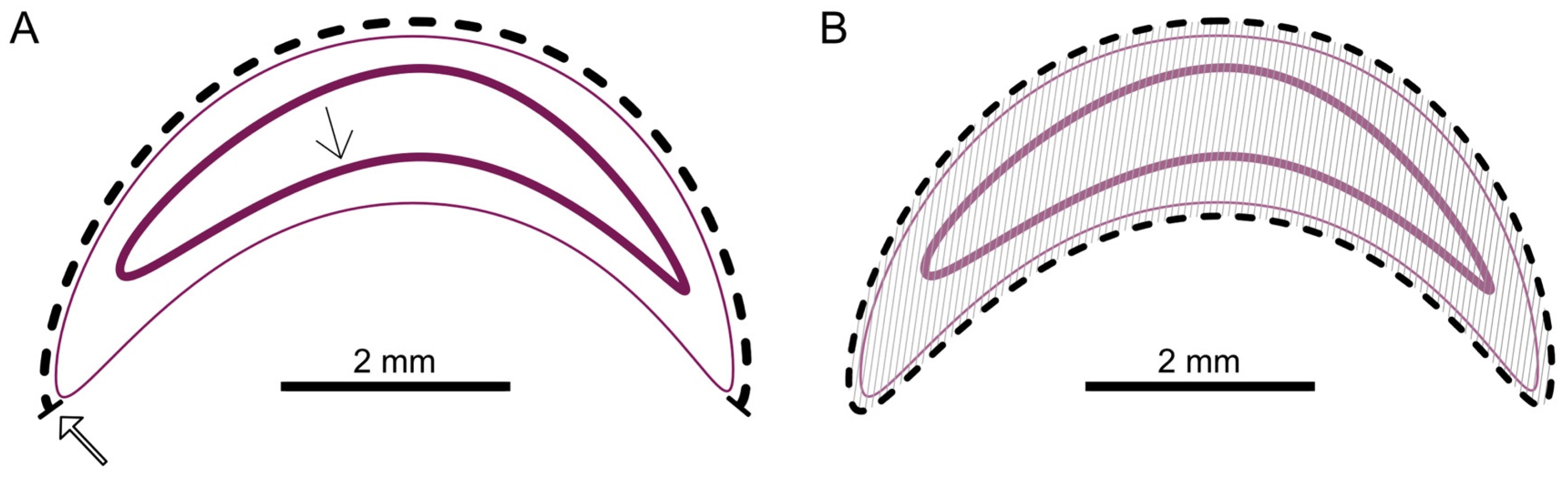 Vetsci 11 00415 g002 Vetsci 11 00415 g002