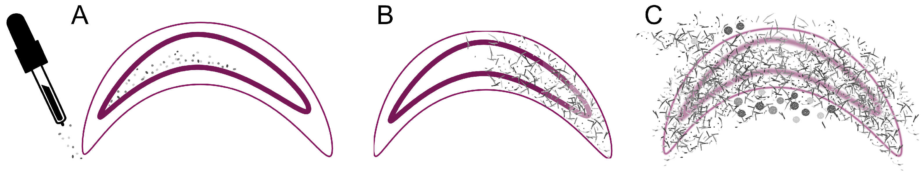 Vetsci 11 00415 g010 Vetsci 11 00415 g010