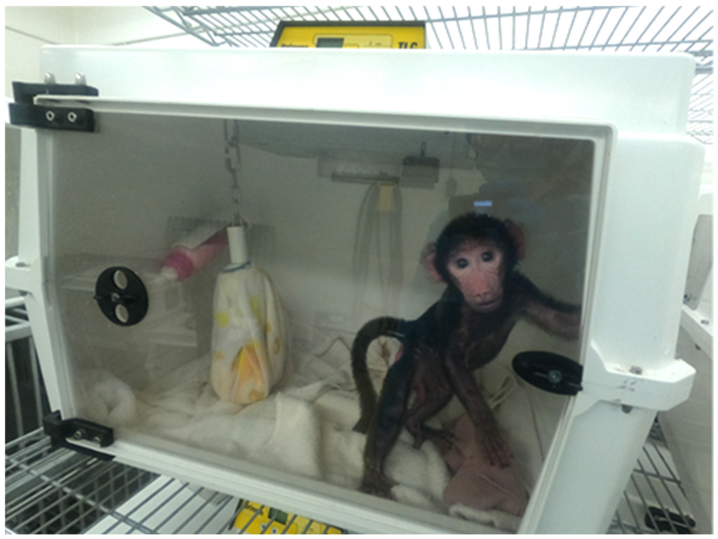 Vetsci 11 00416 g001 Vetsci 11 00416 g001