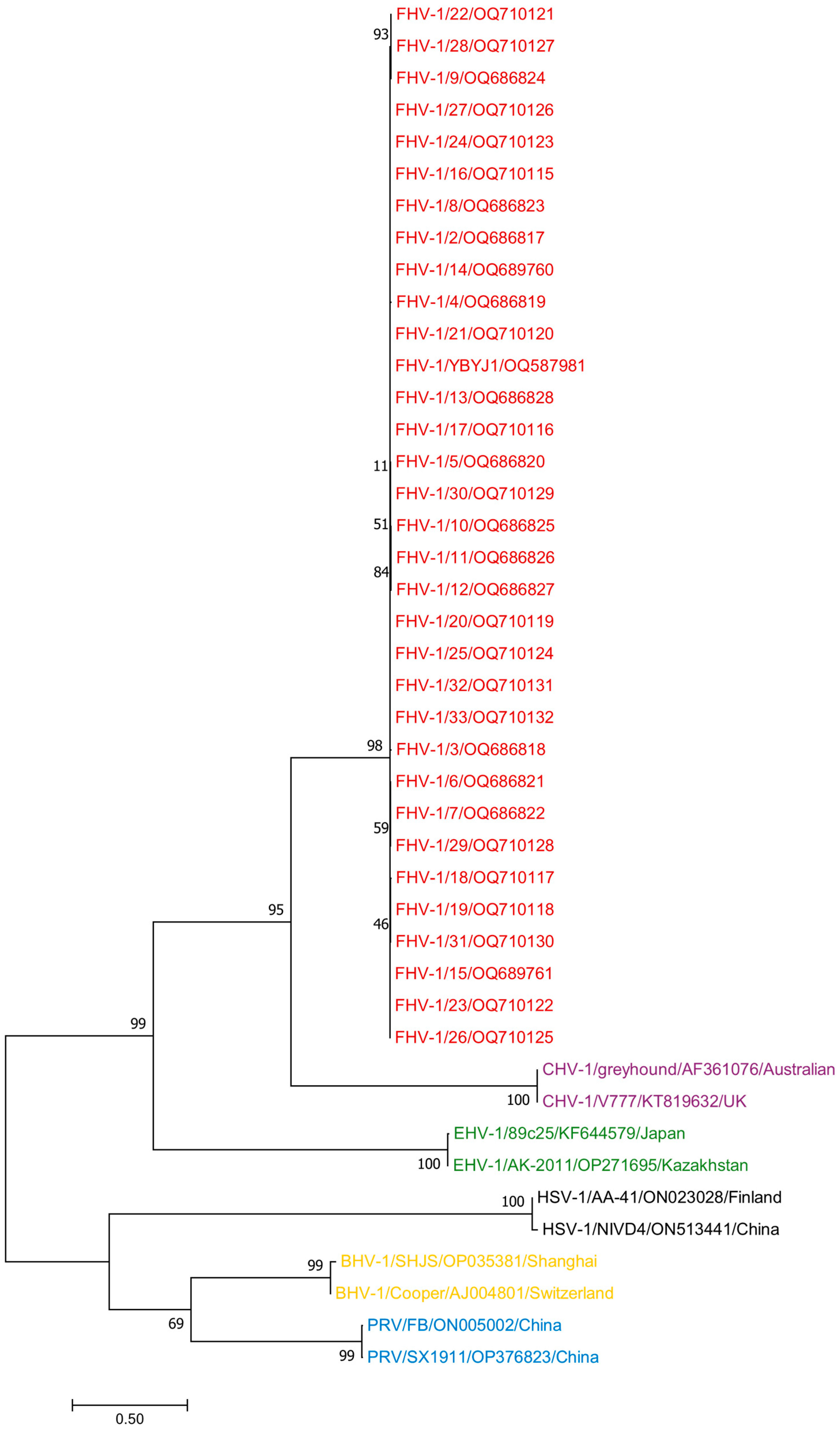 Vetsci 11 00417 g003 Vetsci 11 00417 g003