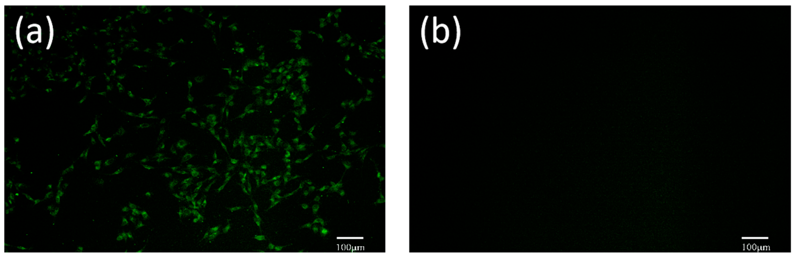 Vetsci 11 00417 g006 Vetsci 11 00417 g006