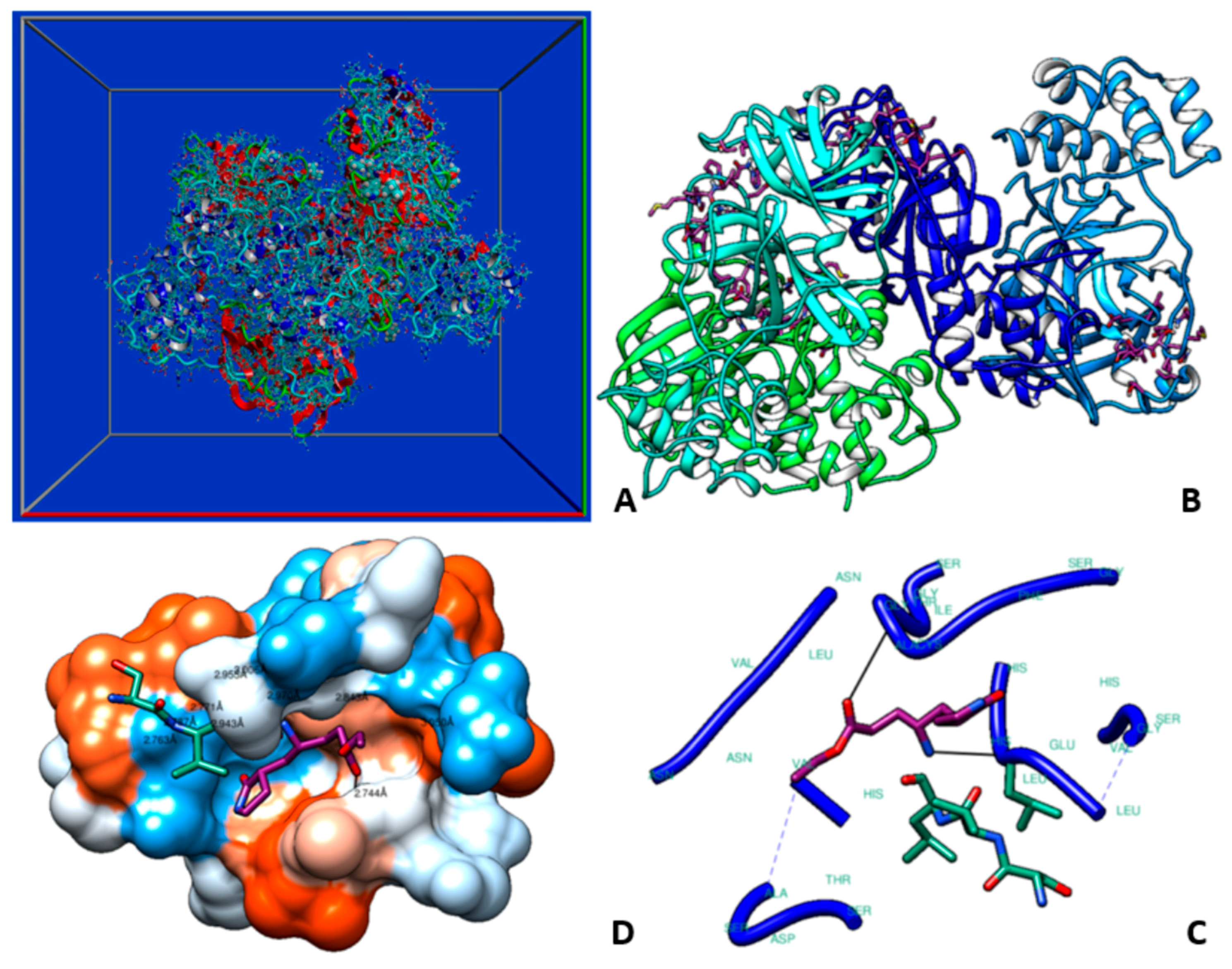 Vetsci 11 00424 g003 Vetsci 11 00424 g003