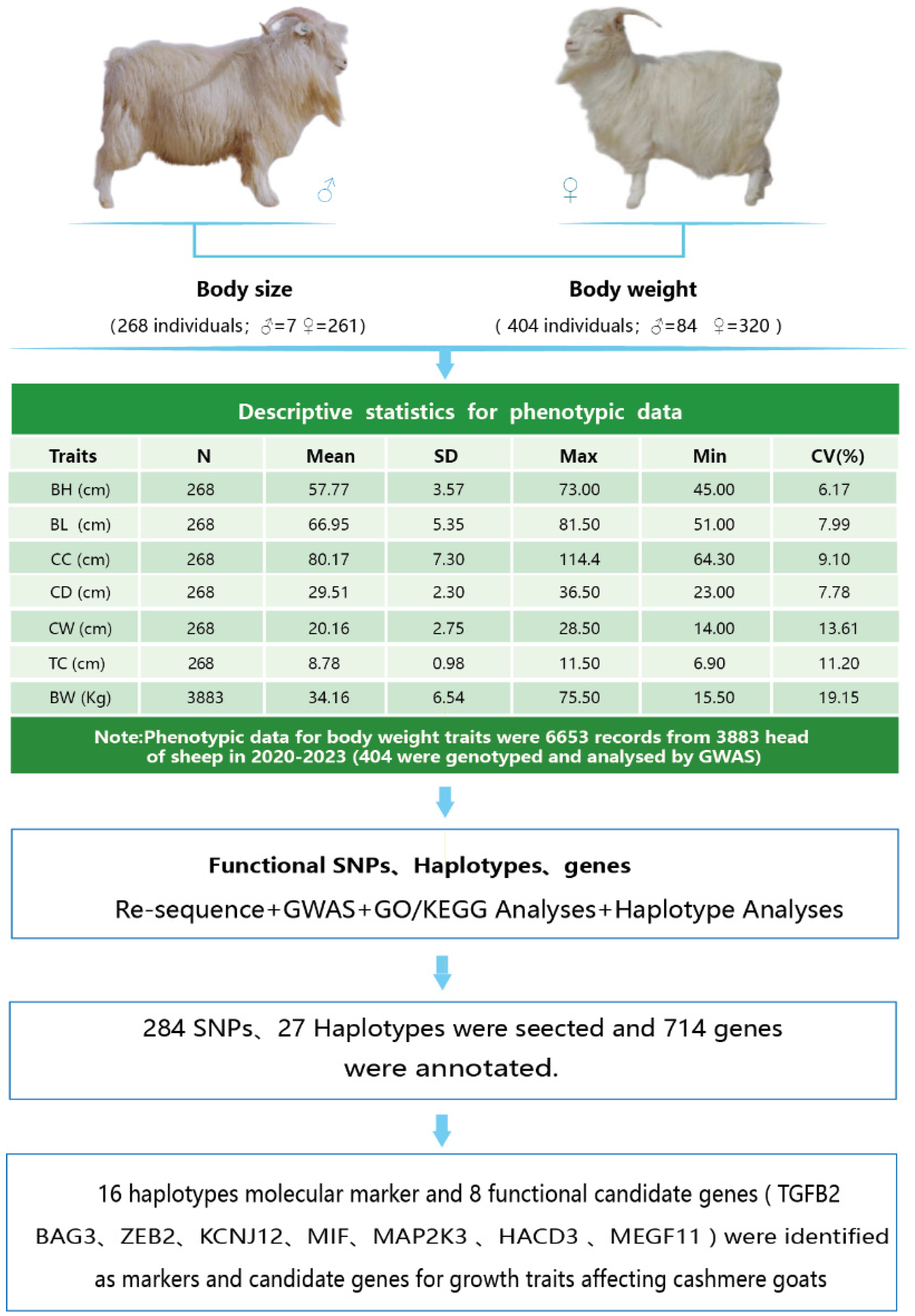 Vetsci 11 00428 g001
