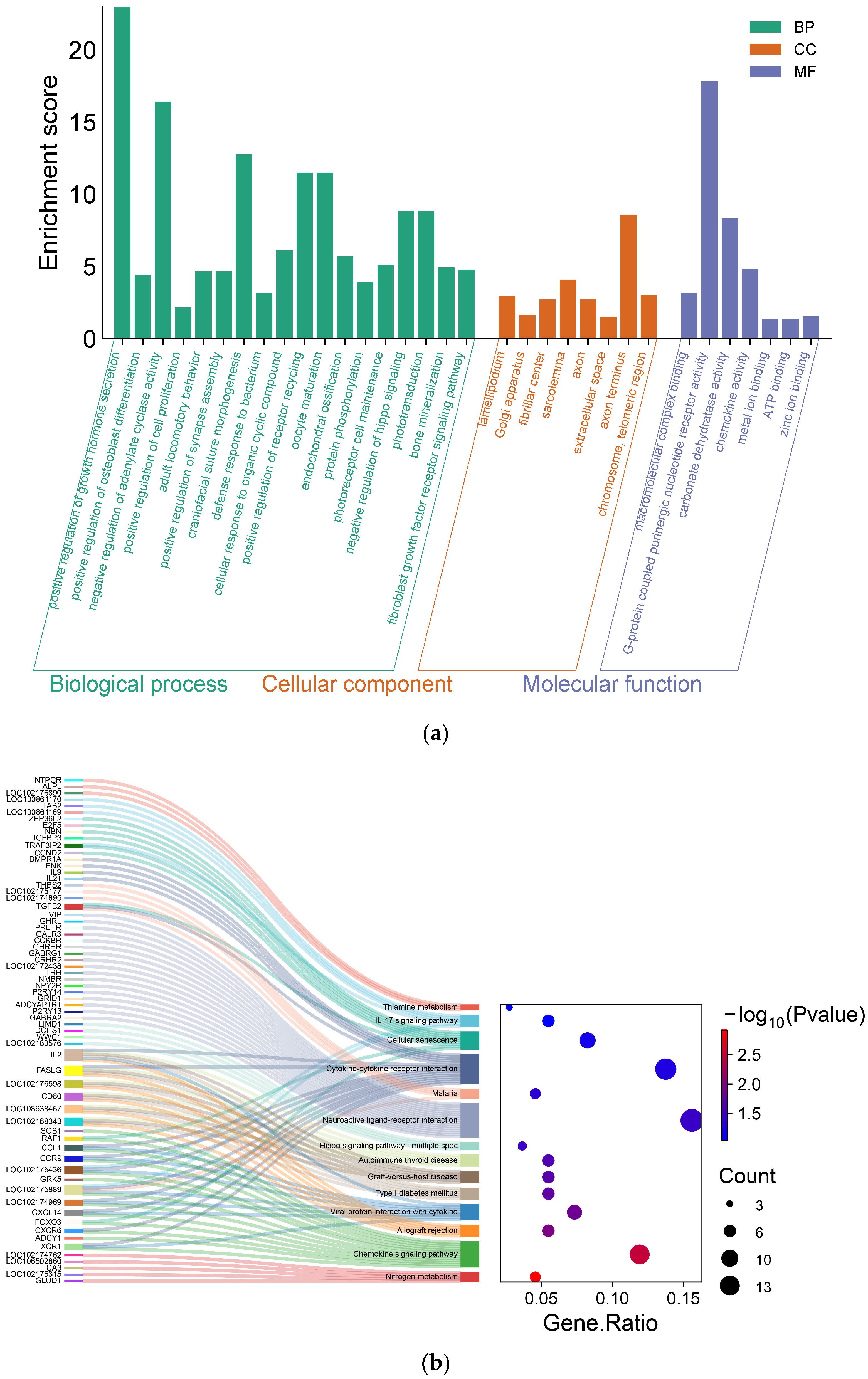 Vetsci 11 00428 g006