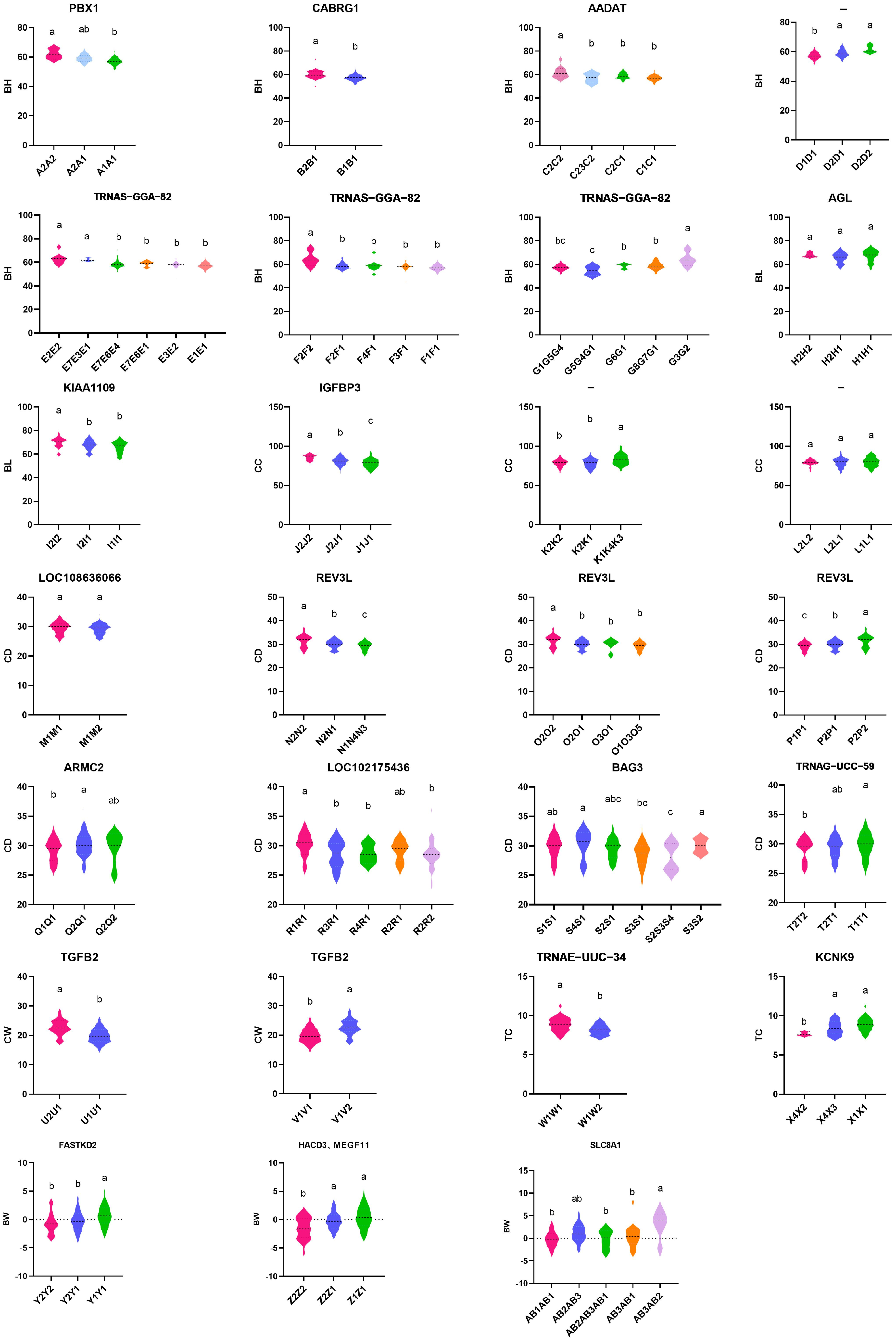 Vetsci 11 00428 g007