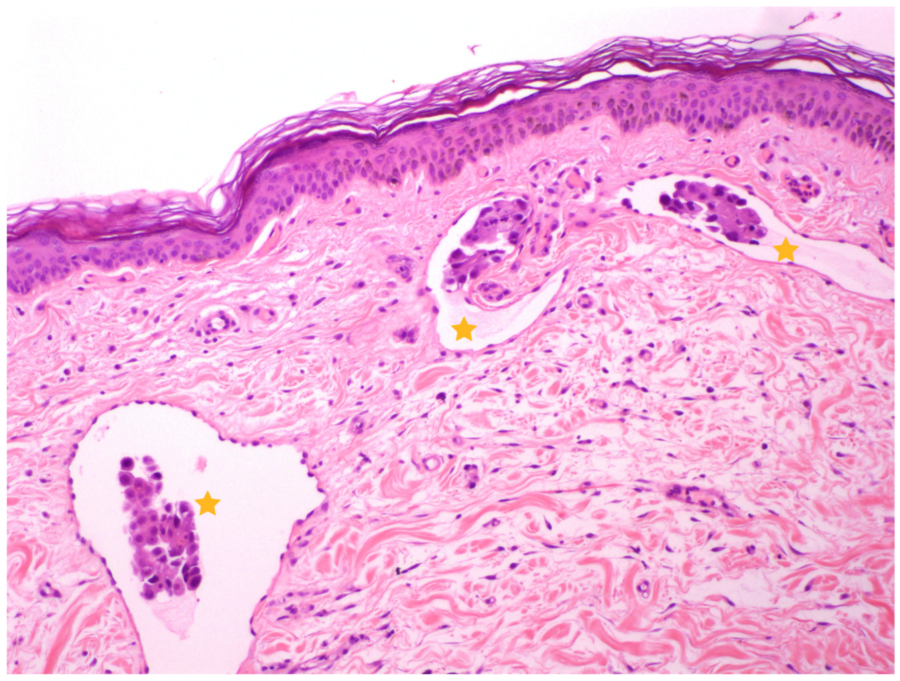 Vetsci 11 00430 g002