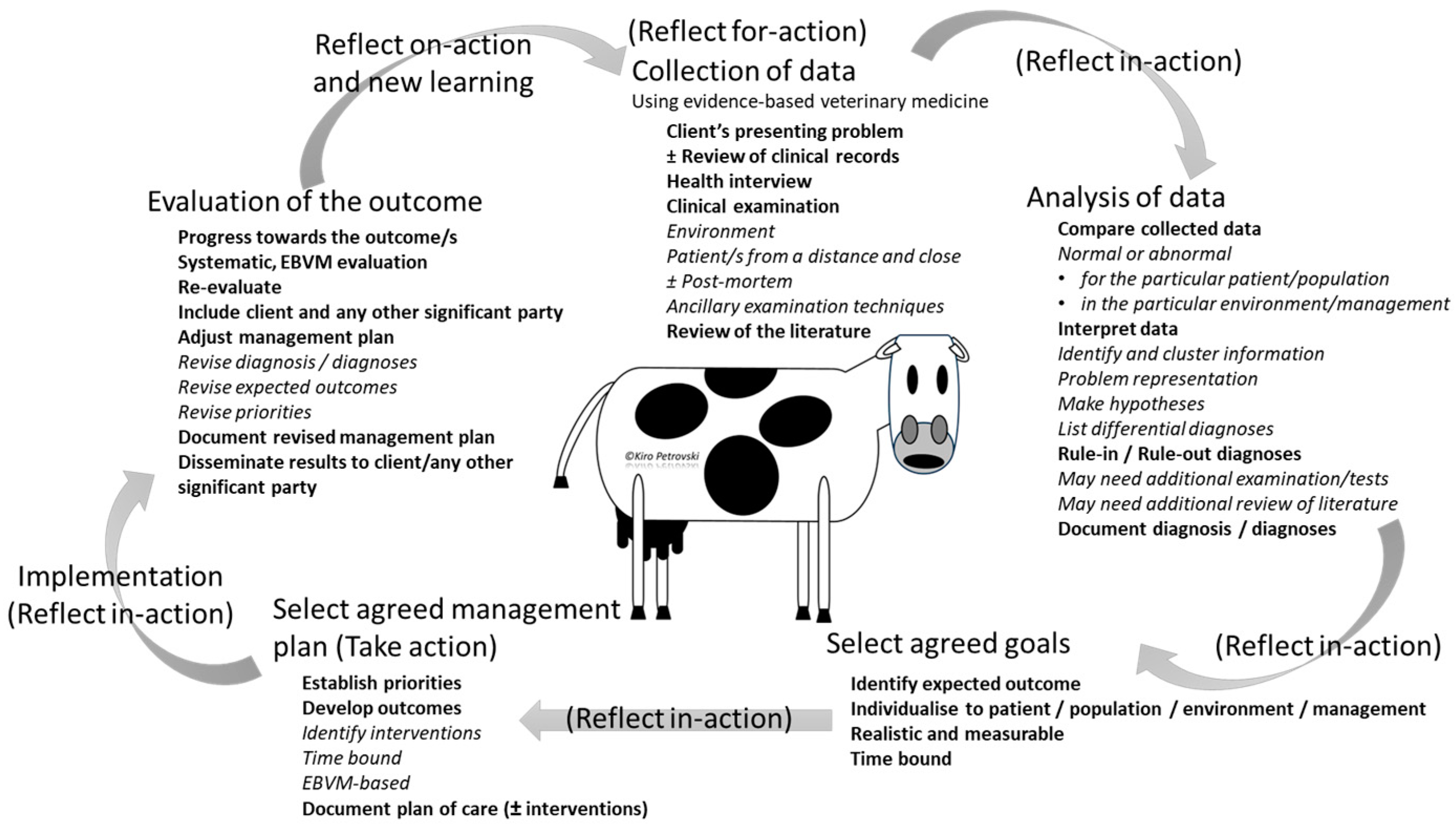 Vetsci 11 00433 g003