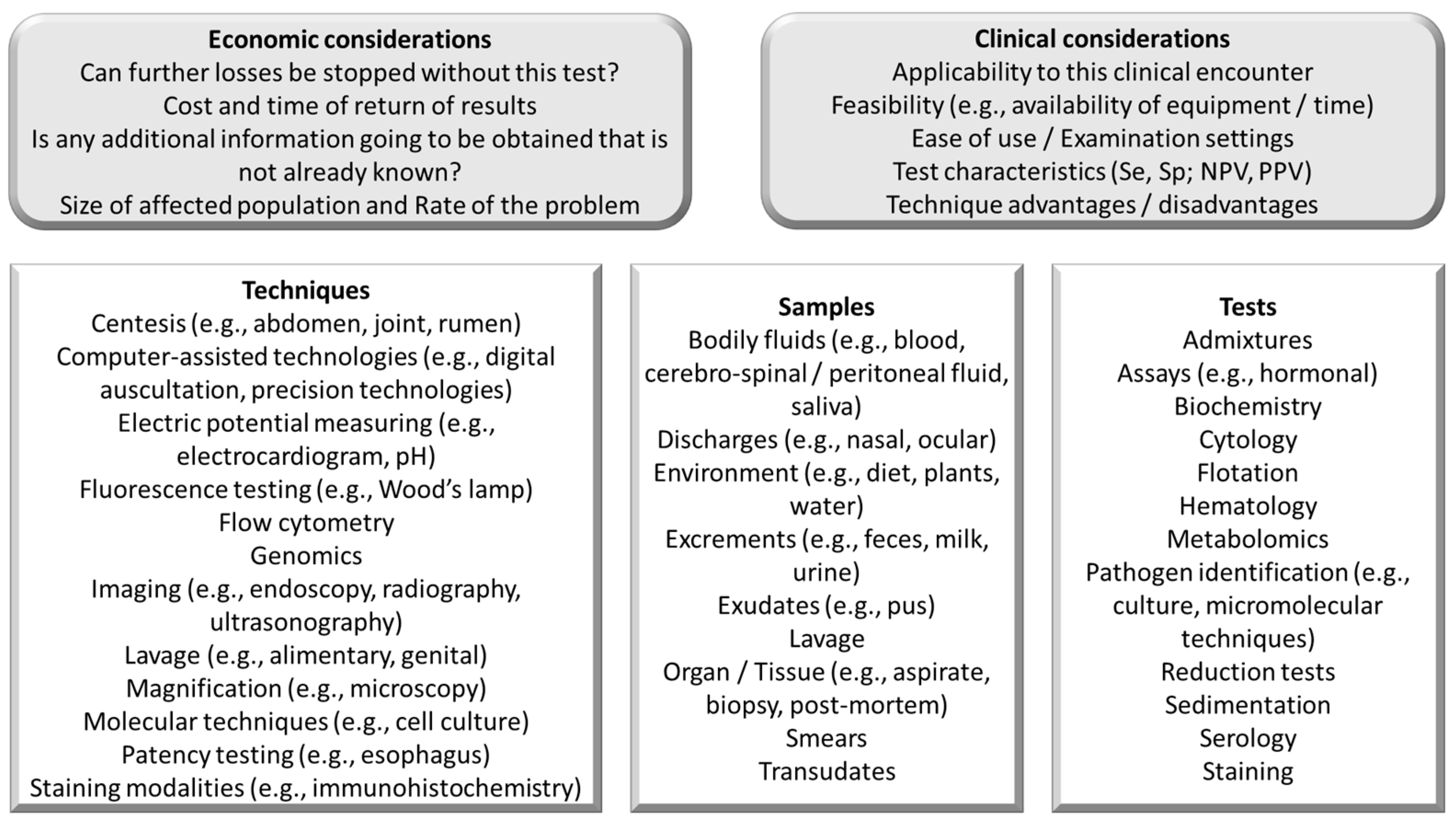 Vetsci 11 00433 g008